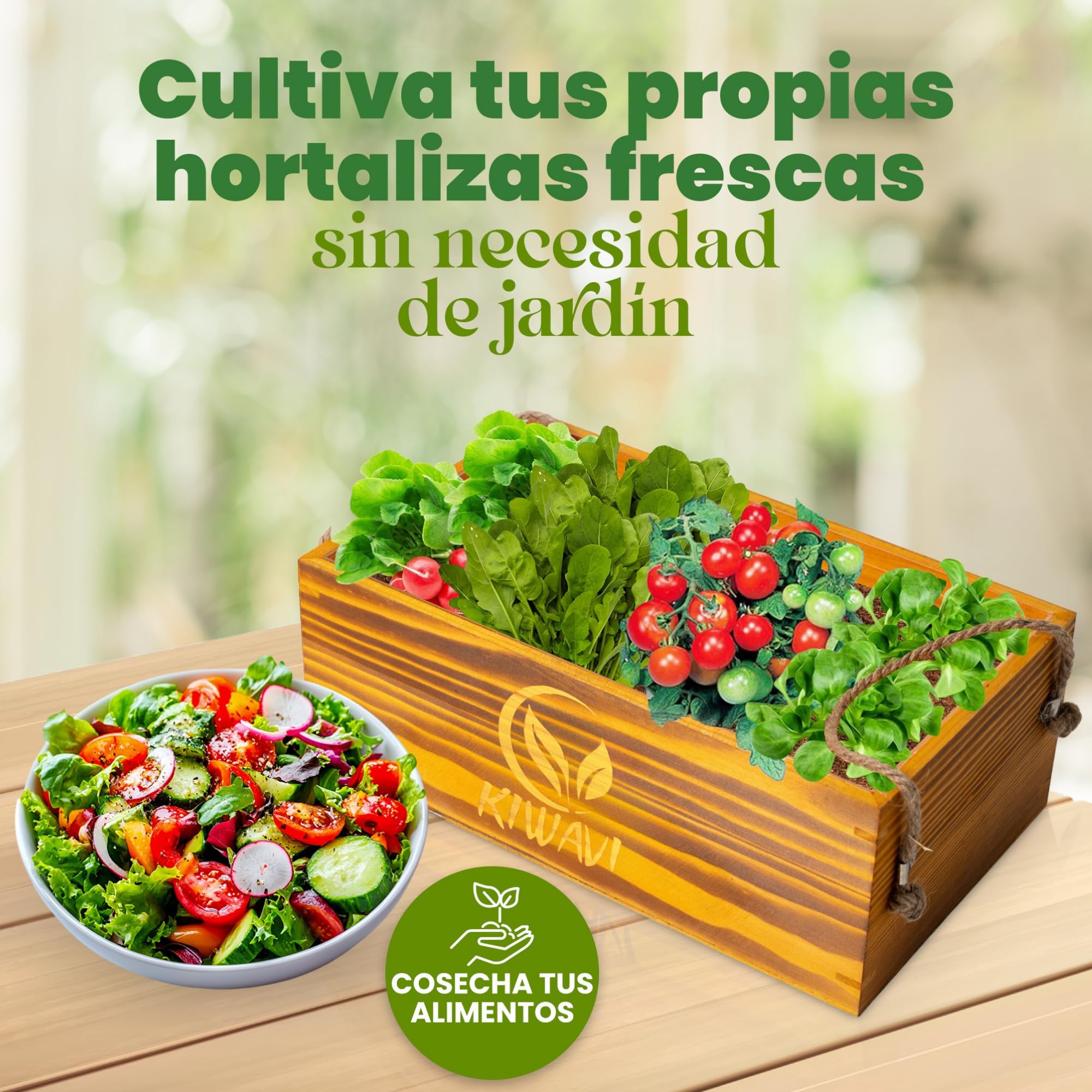 Mini Huerto Urbano Interior y Exterior – Kit Completo de Cultivo en Casa – Semillas de Tomate Cherry, Rúcula, Canónigos y Rábanos – Fácil de Usar
