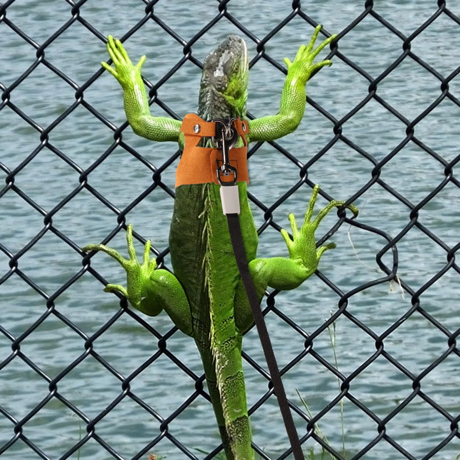 Bartagamengeschirr und Leine, 3 Größen Superleder Bartagamengeschirr mit Einziehbarer Bartagamenleine aus Kunststoff Bartagamenoutfits für Reptilienspaziergänge im Freien (Braun)