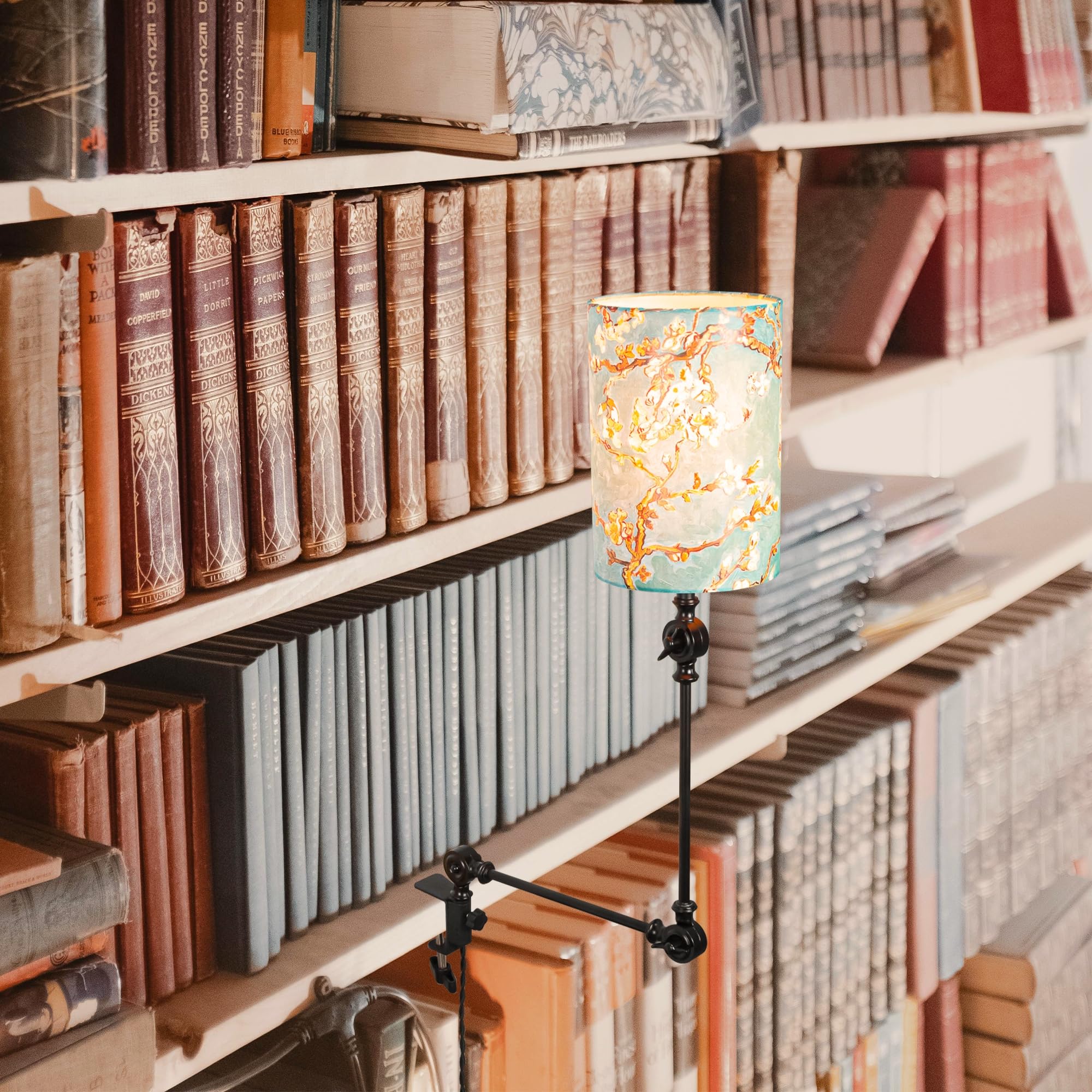 Wiederaufladbar Klemmleuchte mit Fernbedienung, Einstellbar Clip auf Schreibtisch Leselampe,Dimmbar Clamp Nachttischlampe mit Flexarm für Schreibtisch Nachttisch Regal-bunt-DZ0034