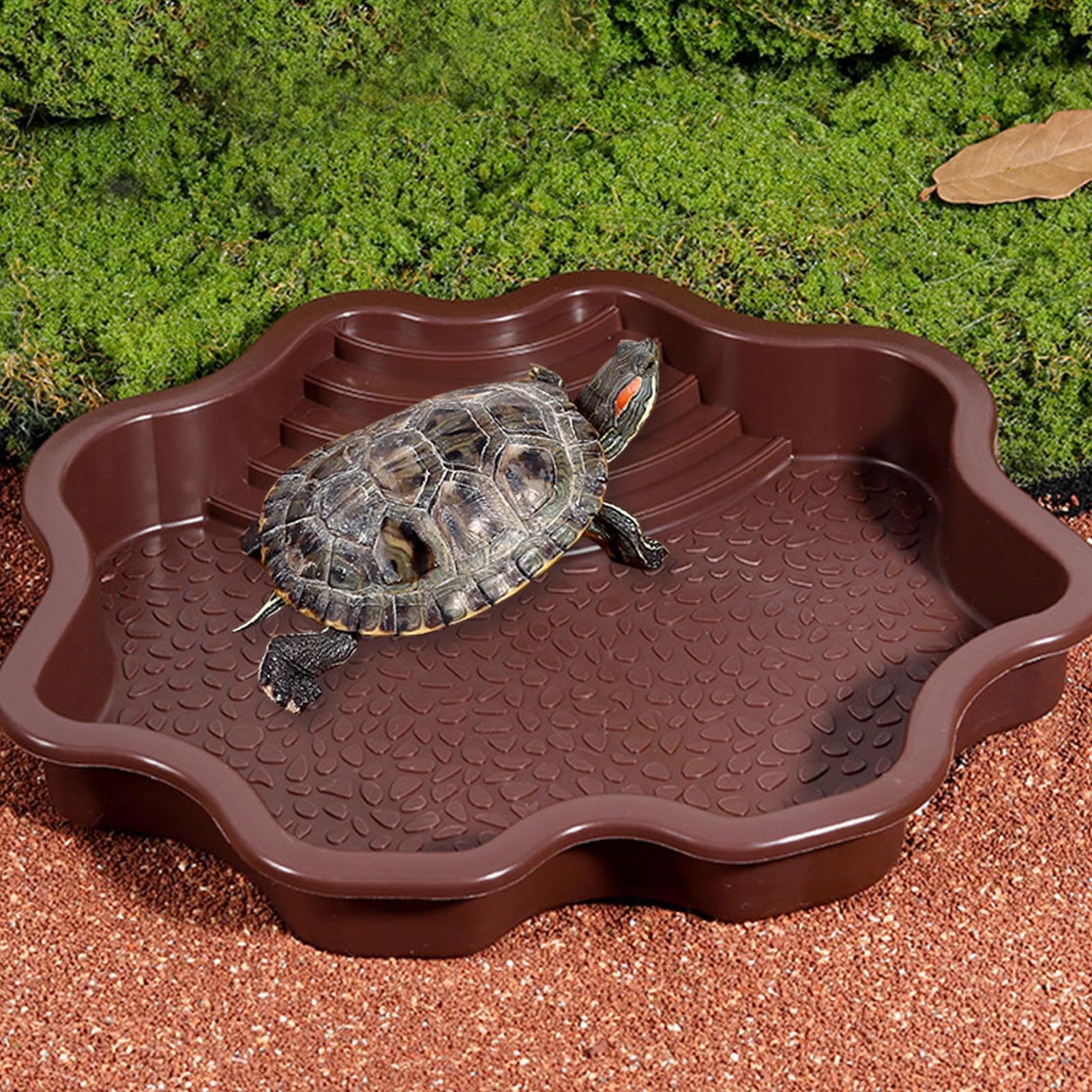 Plat à tremper pour reptiles, bol d'eau et nourriture avec marches pour tortue de piscine