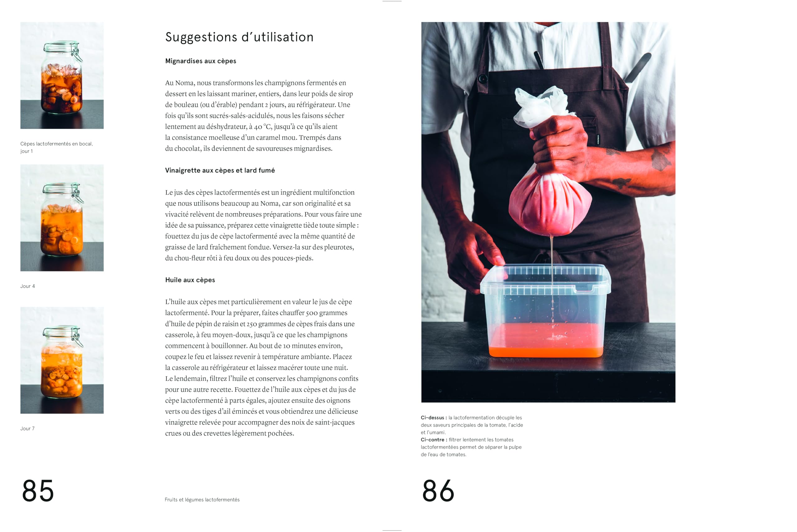 Le guide de la fermentation du Noma