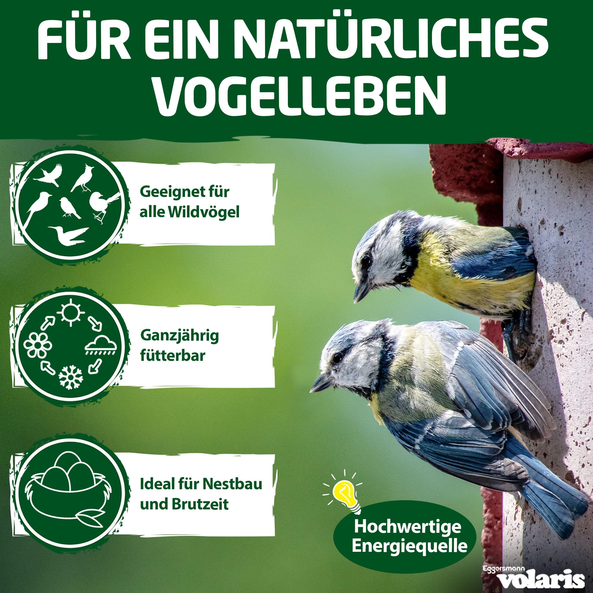 Eggersmann volaris Meisenknödel ohne Netz mit Insekten 200 Stück [Protein] 18 kg | Körnerkugel für Wildvögel | Nährstoffreiches Ganzahresfutter für alle Vogelarten | Vogelfutter Wildvögel ganzjährig