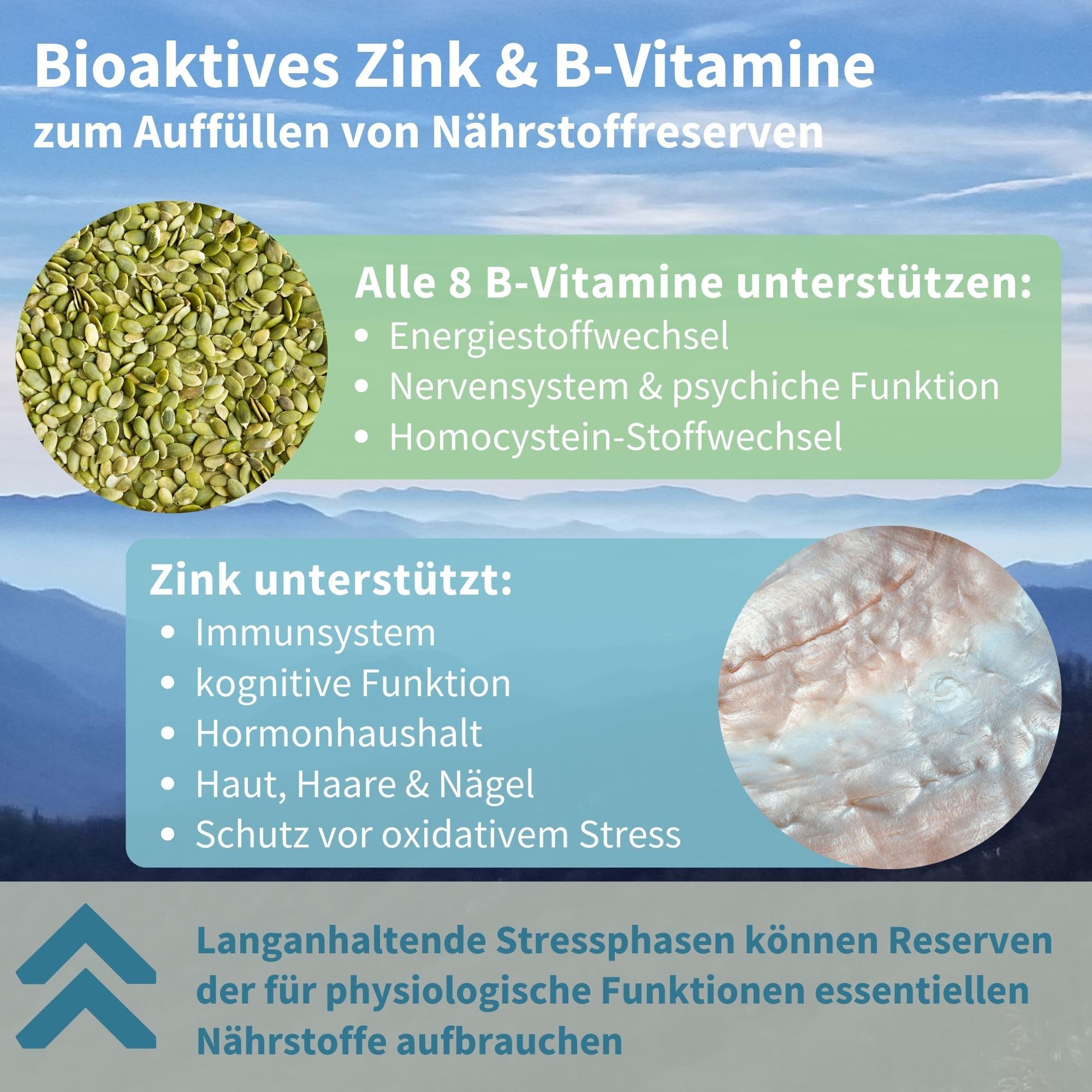 Igennus hochdosierter Ashwagandha Anti-Stress Komplex, KSM-66 Wurzelextrakt & L-Theanin & Magnesium, methylierte B-Vitamine, Adaptogen-Komplex für Entspannung & Schlaf, Clean Label, 60 vegane Kapseln