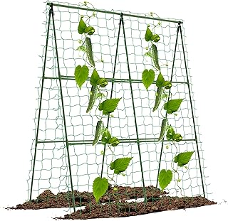 12 Cucumber Trellis Ideas to Grow More in Small Garden Beds 58 popsea Cucumber Trellis for Raised Beds, 31.5 x 47 Inch Adjustable A-Fra...