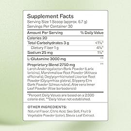 Amy Myers MD Leaky Gut Revive - Gluten-Free & Non-Dairy - Botanical Blend for Healthy Gut Support - GI Health Support with Prebiotic Fiber - Strawberry Lemonade, 7.09 oz (30 Servings)