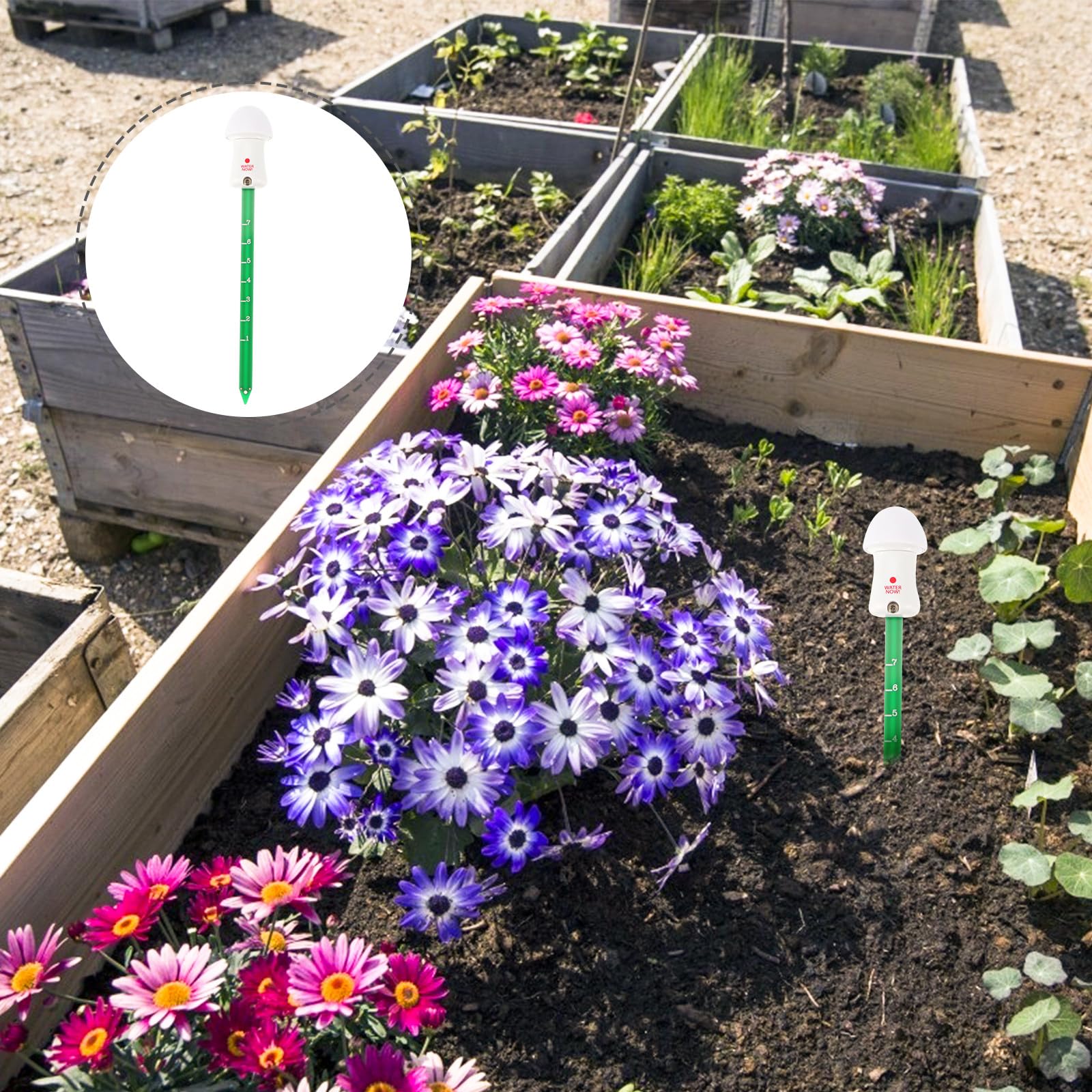 Veemoon Capteur D'humidité Sol Détecteur LED pour Plantes D'intérieur, Mode Détection Automatique et Rappel D'arrosage, Matériel PCB et Abs Fiable