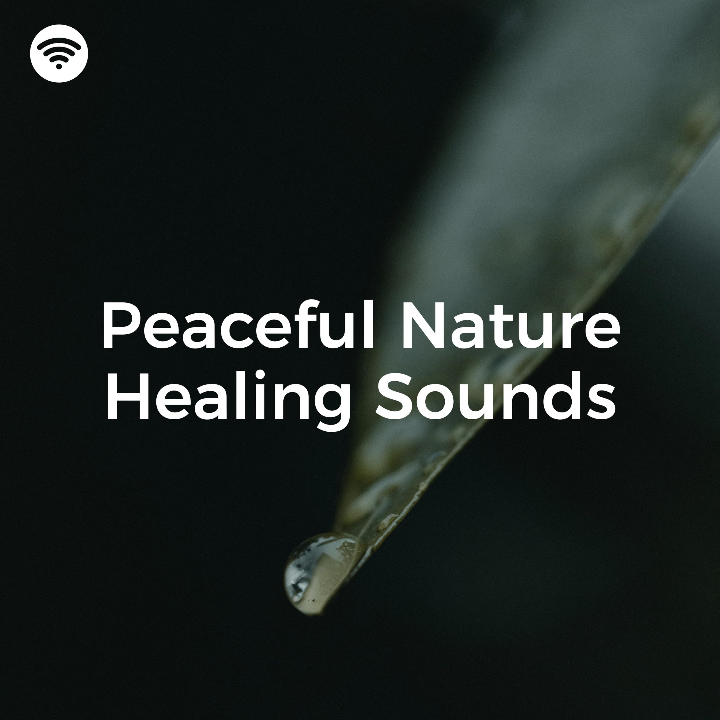 Reiki Healing Music