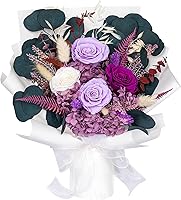 Bonsion Preserved Purple Roses Bouquet - Eternal Flowers Gift for Women, Wife, Mom | Lasts 2-3 Years, Birthday Mother's Day Anniversary