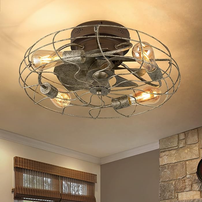 Buy DIDER 21'' Low Profile Caged Ceiling Fan with Lights Remote Control