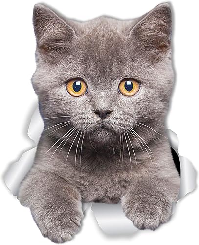 Winston & Bear CalcomanĂas de pared de gato de pelo corto británico Paquete de 2 Adhesivo para inodoro de gato británico de pelo corto Adhesivo Winston & Bear CalcomanĂas de pared de gato de pelo corto británico Paquete de 2 Adhesivo para inodoro de gato británico de pelo corto Adhesivo