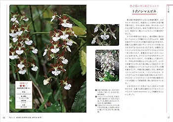 日本の絶滅危惧植物図譜 大型本（大型本） さらに知っておきたい日本の絶滅危惧植物図鑑 | 長澤 淳一