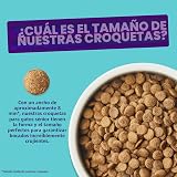 Ver la foto 6