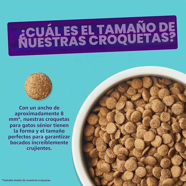 Foto 6 de 8 de Edgard & Cooper - Croquetas de Gato esterilizadas para Adultos, (Pollo, 2kg), Carne Fresca y proteína…
