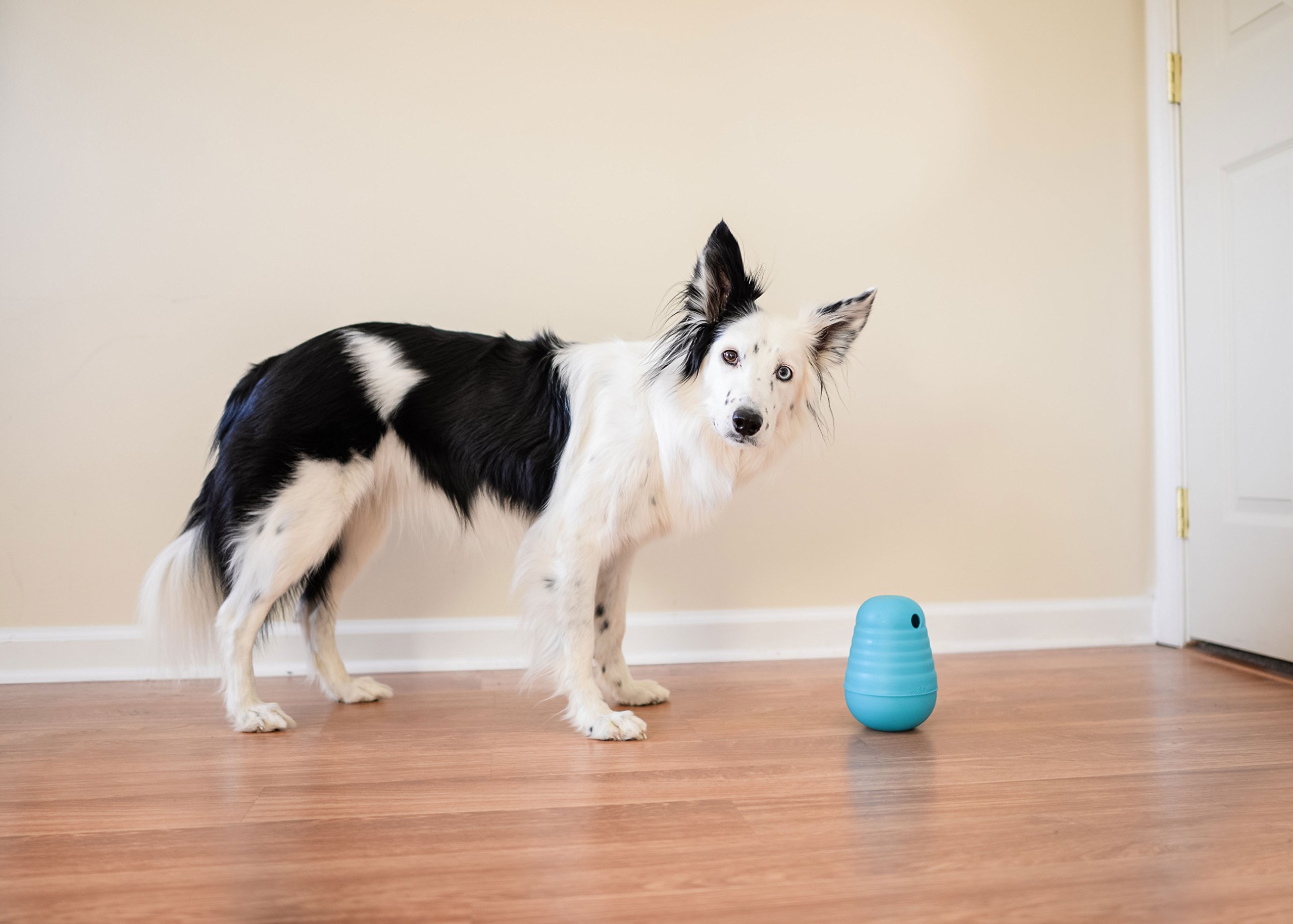 outward hound dog pyramid
