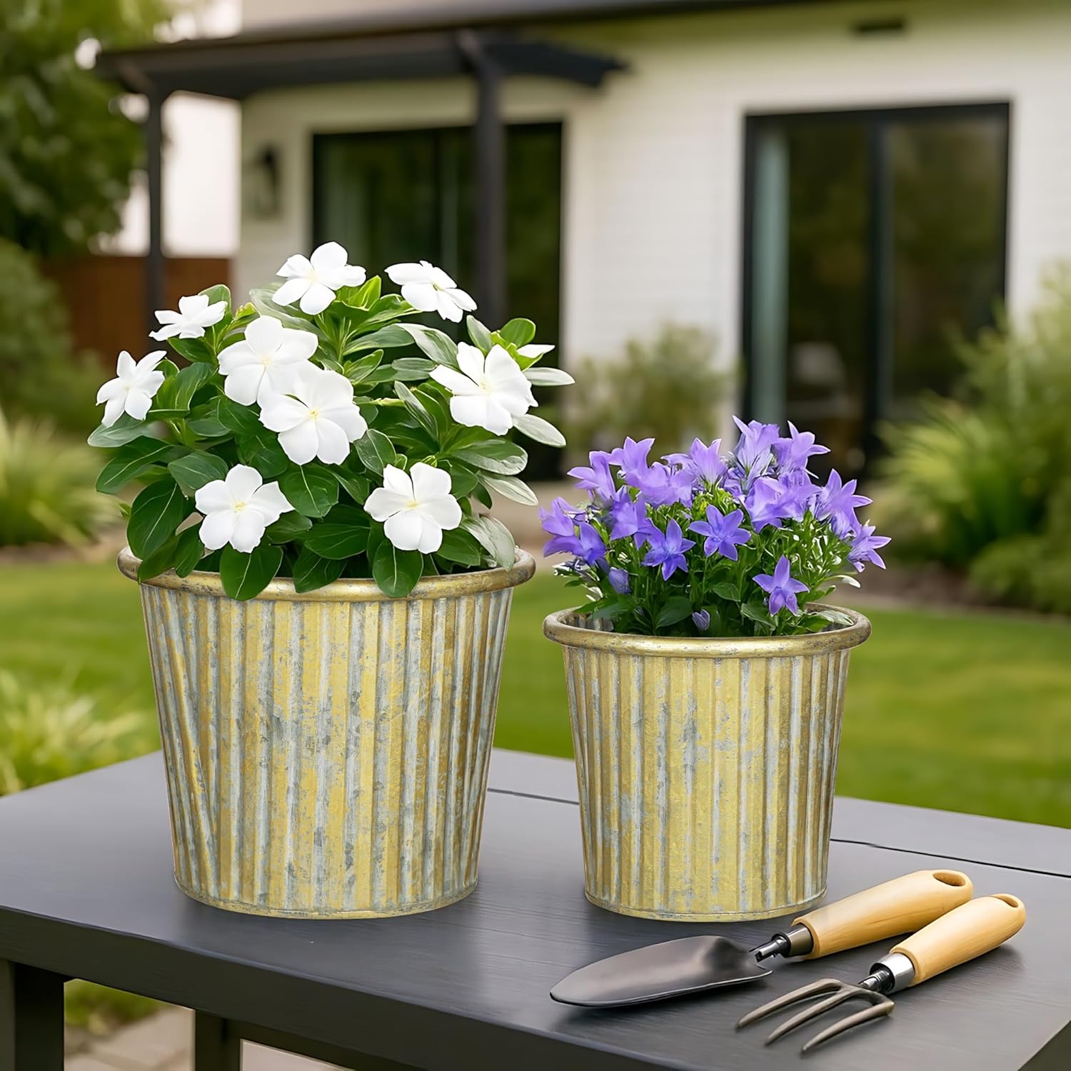 Gold Metal Rustic Flower Pots - 3 PCS Galvanized Planters Rustproof Durable Metal Buckets Plant Pots Vintage-Inspired Charm Rustic for Farmhouse Garden Herb Indoor Outdoor Decor(Dia.5.5"/6.5"/7.1")