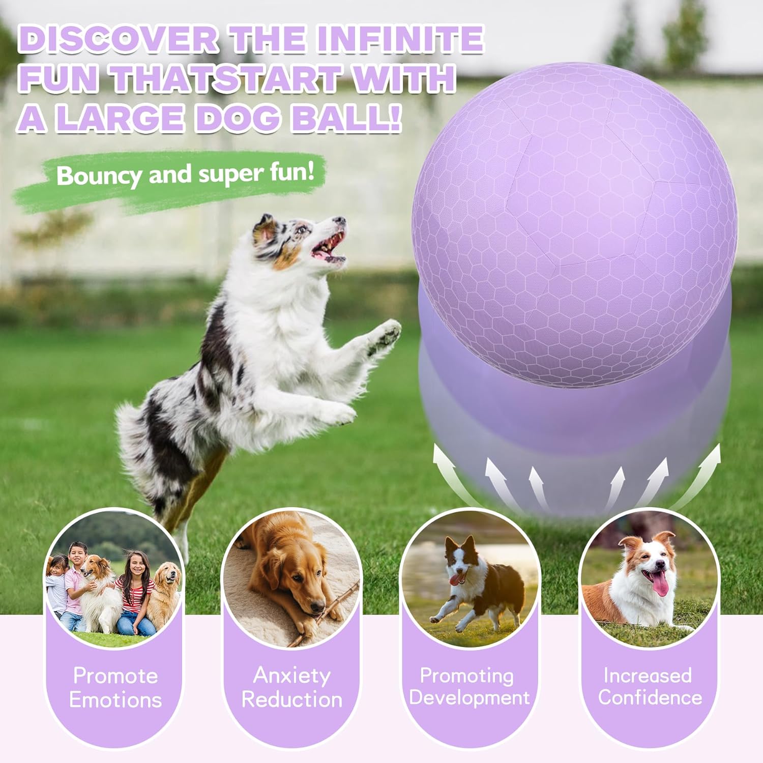 25" Herding Ball Set for Dogs and Horses, Durable Waterproof Dog Toy, Dual-Layer Large Interactive Pet Play Ball for Australian Shepherds, Cattle Dogs, Collies, and All Herding Breeds