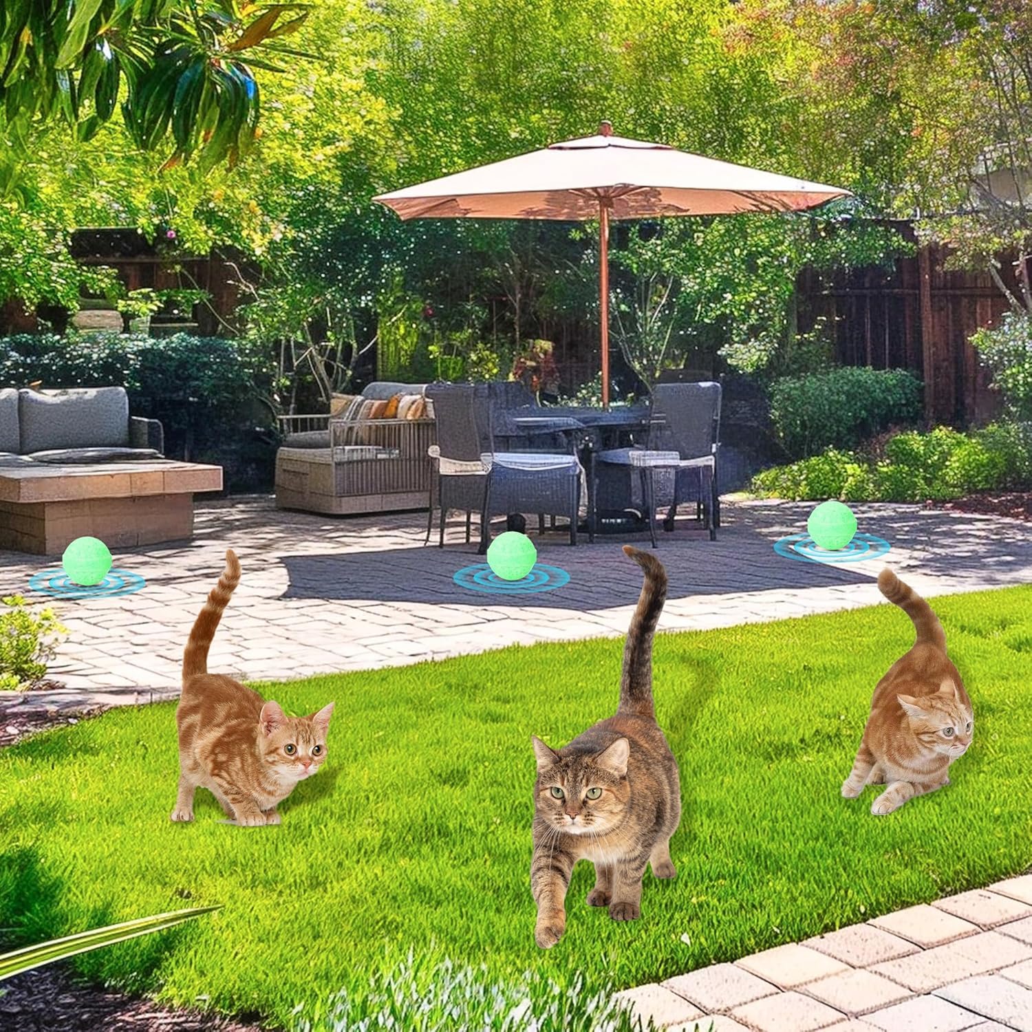 TEZORA 10 Pack Cat Repellent Outdoor, Natural Peppermint Oil Cat Deterrent Outdoor Indoor, Anti Cat Scratch for Furniture, Keep Cats Off Yard Garden Lawn Plants 2