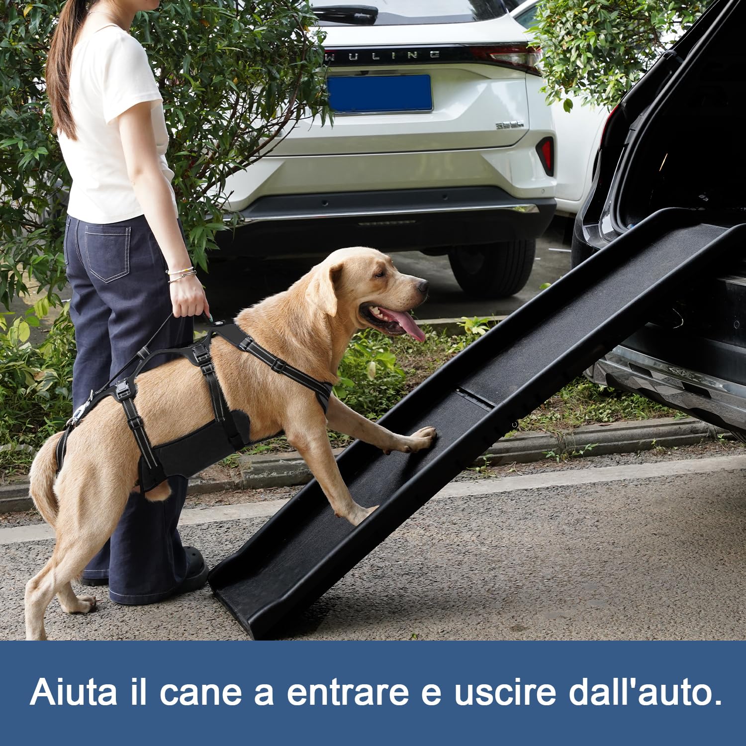 Coodeo Imbracatura per Cani, Supporto Completo e Fodera di Recupero, Regolabile con Cinghie Traspiranti per Cani Anziani, Disabili, con Artrite e Paralisi, aiuto per Camminare (Nero, L)