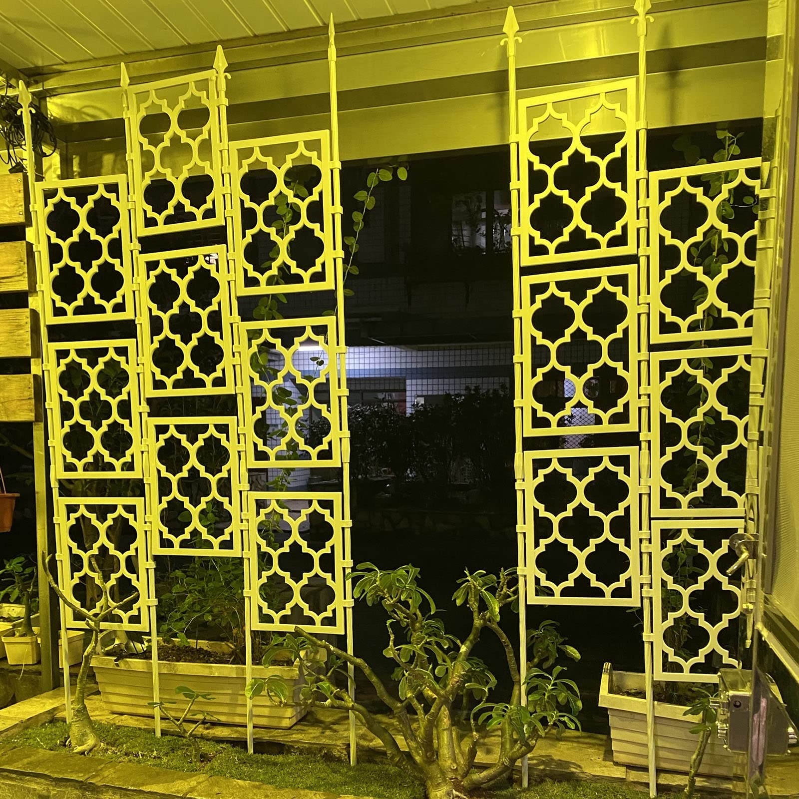 View 4