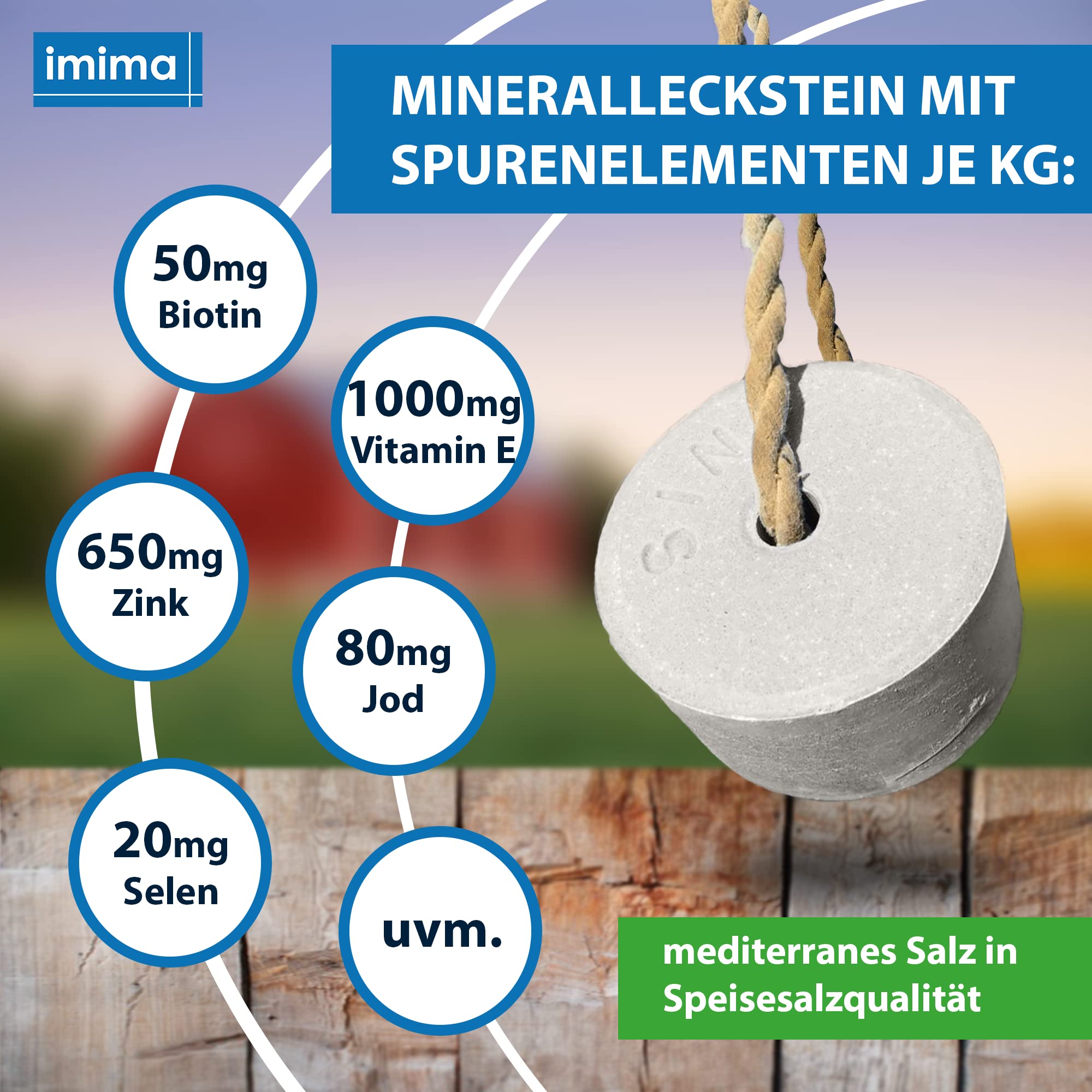 BIOTIN+plus Mineralleckstein Für Pferde – 2x 3 Kg Set, Mit Vitamin E & Biotin, Für Gesunde Hufe & Fell