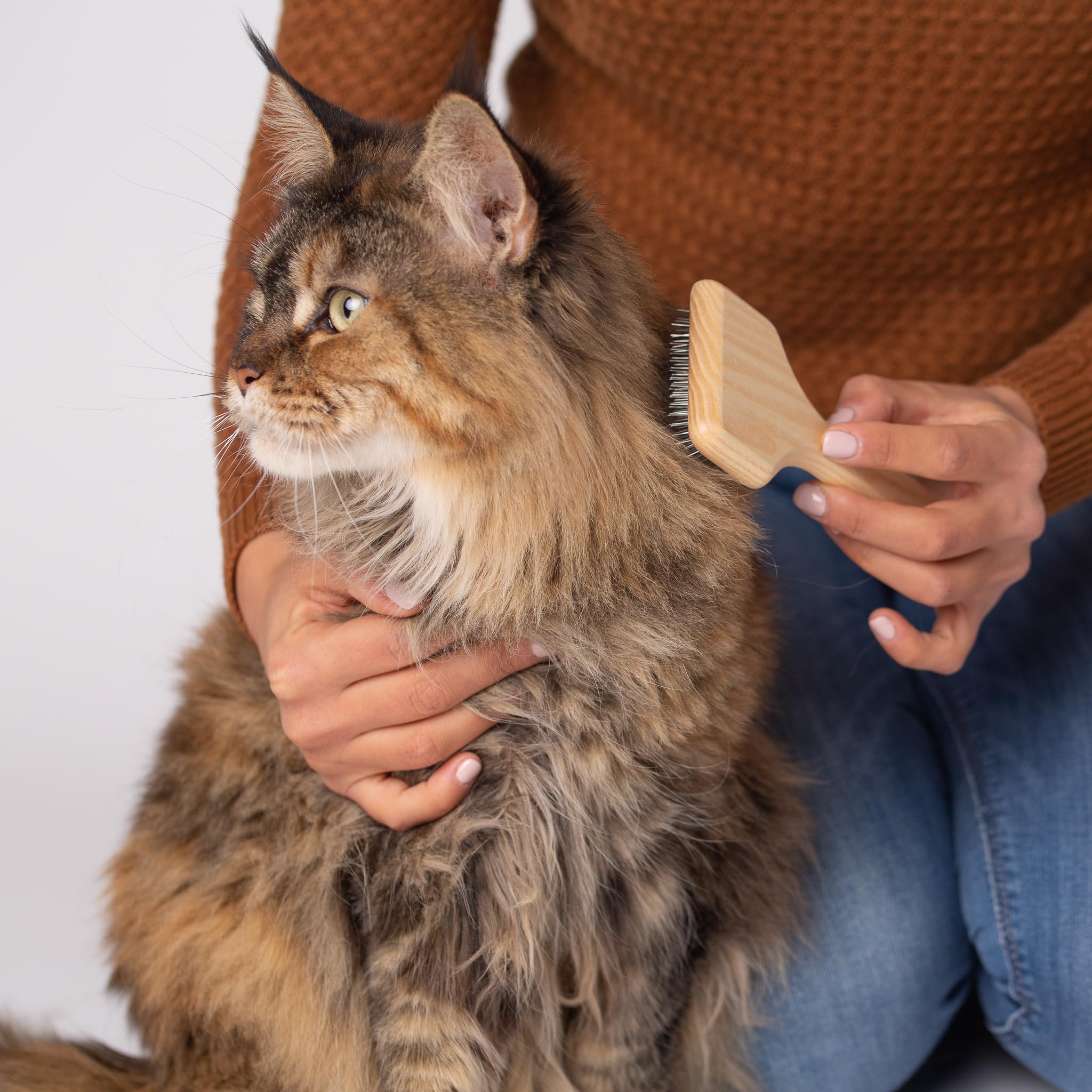WIDU - Cepillo para Perros y Gatos, Ideal para Pequeñas Mascotas de pelo largo en Madera de Fresno, Hecha a Mano en Italia - 16 x 7 cm, con Dientes de 20 mm de Largo e Inclinación de 70°
