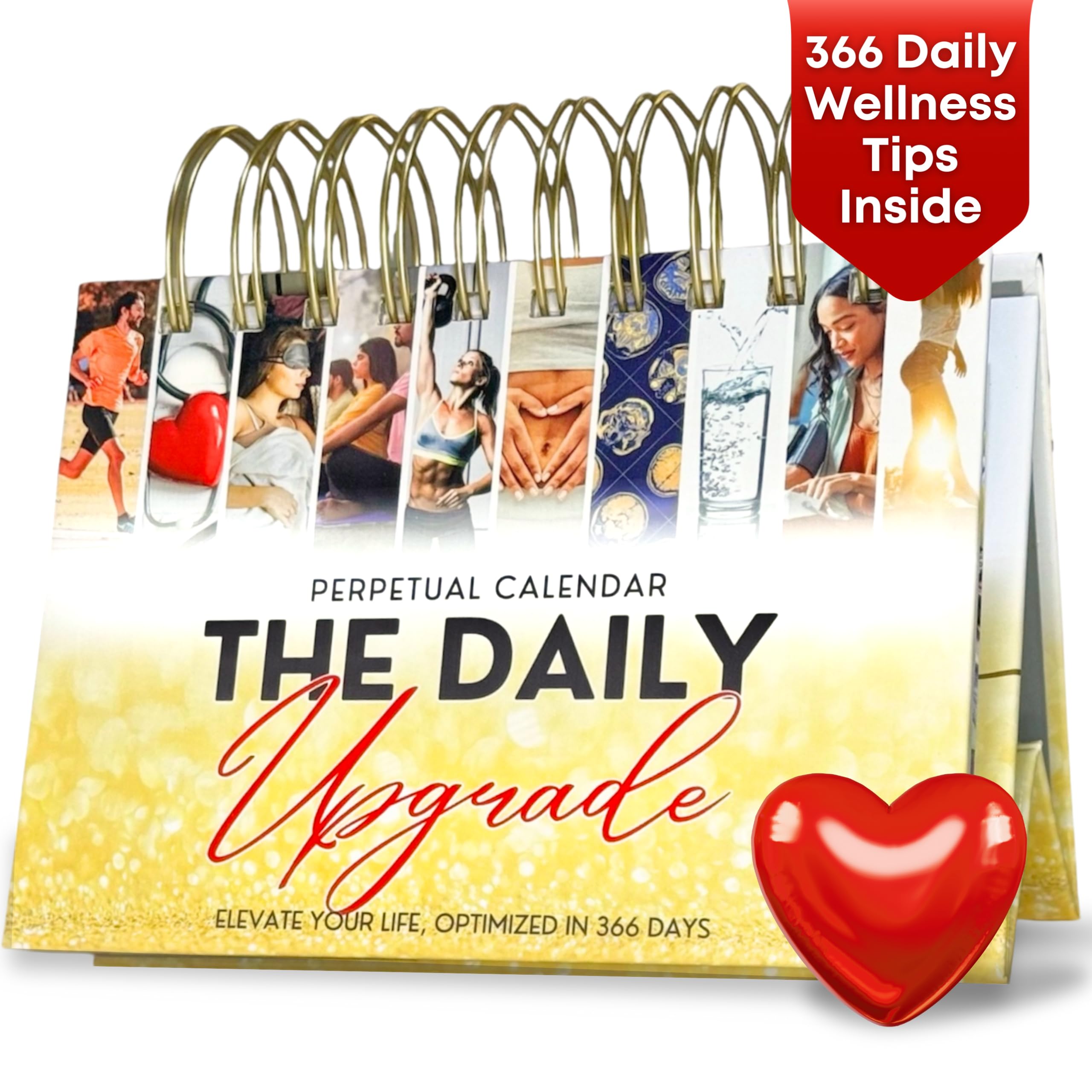 The Daily Upgrade Flip Calendar, Daily Flip, Perpetual Desk Calendar, Office Decor, Desk Accessories, Inspirational, 366 Days, Fitness & Nutrition Themes, Health & Wellness