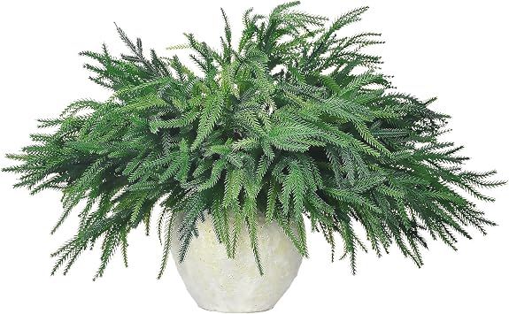 12Pcs Xmas Norfolk Pine Branches, Real Touch Norfolk Pine Branches - 18" Christmas Artificial Pine Branches DIY Crafts Faux Christmas Norfolk Pine Branch for Xmas Norfolk Indoor Outdoor Home Decor