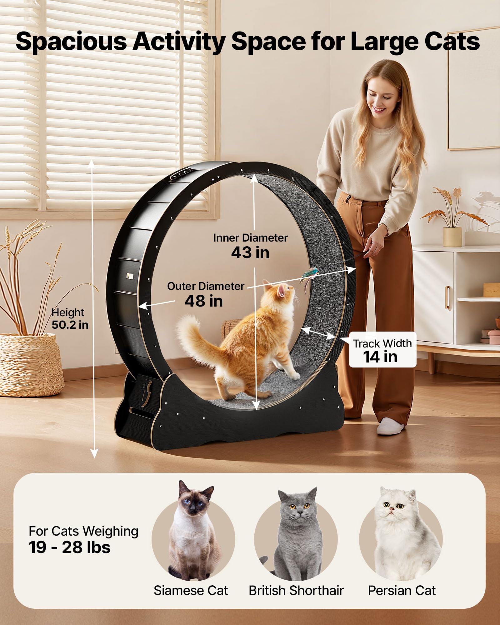 VEVOR Ruota per Esercizi per Gatti, Ruota per Correre in Legno da 120 cm per Gattini da Interno Fino a 12,7 kg, con Pista in Moquette e Meccanismo di Bloccaggio, per Animali Domestici, Fitness Nero