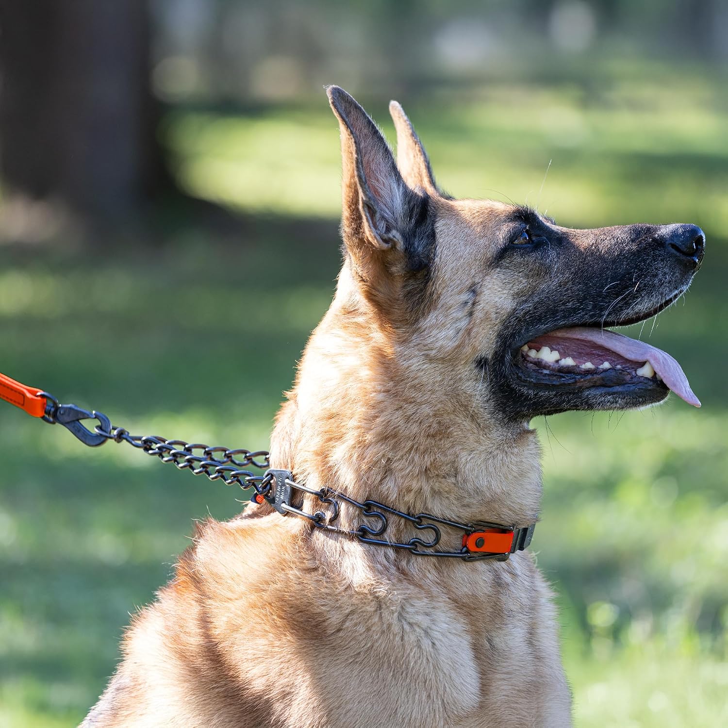 Herm Sprenger Black Stainless Steel Dog Collar with Quick Release ClicLock Buckle and Biothane Insert Training Collar Made in Germany (Hunter Orange, 25in x 4.0mm(Neck Size up to21-22in))