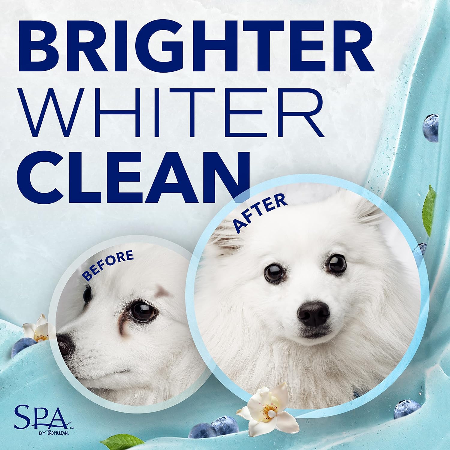 TropiClean SPA Tear Stain Remover for Dogs | Blueberry Facial Shampoo | Odor Eliminator | Tearless | Whitening and Brightening | Made in USA | 1 Gallon