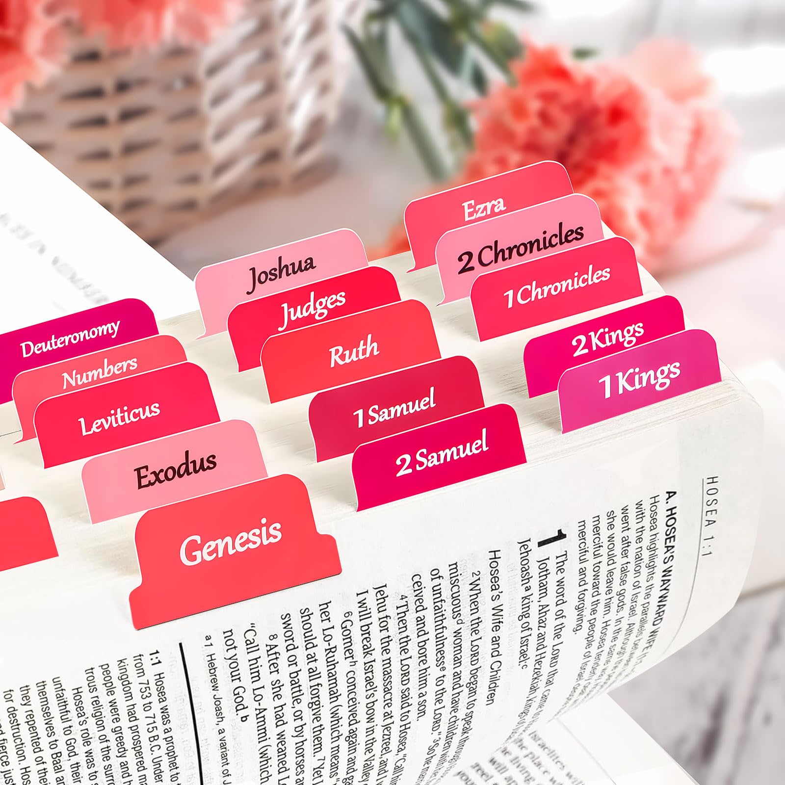 Bible Tabs, Easy to Read Large Font, Laninated Intex Tab