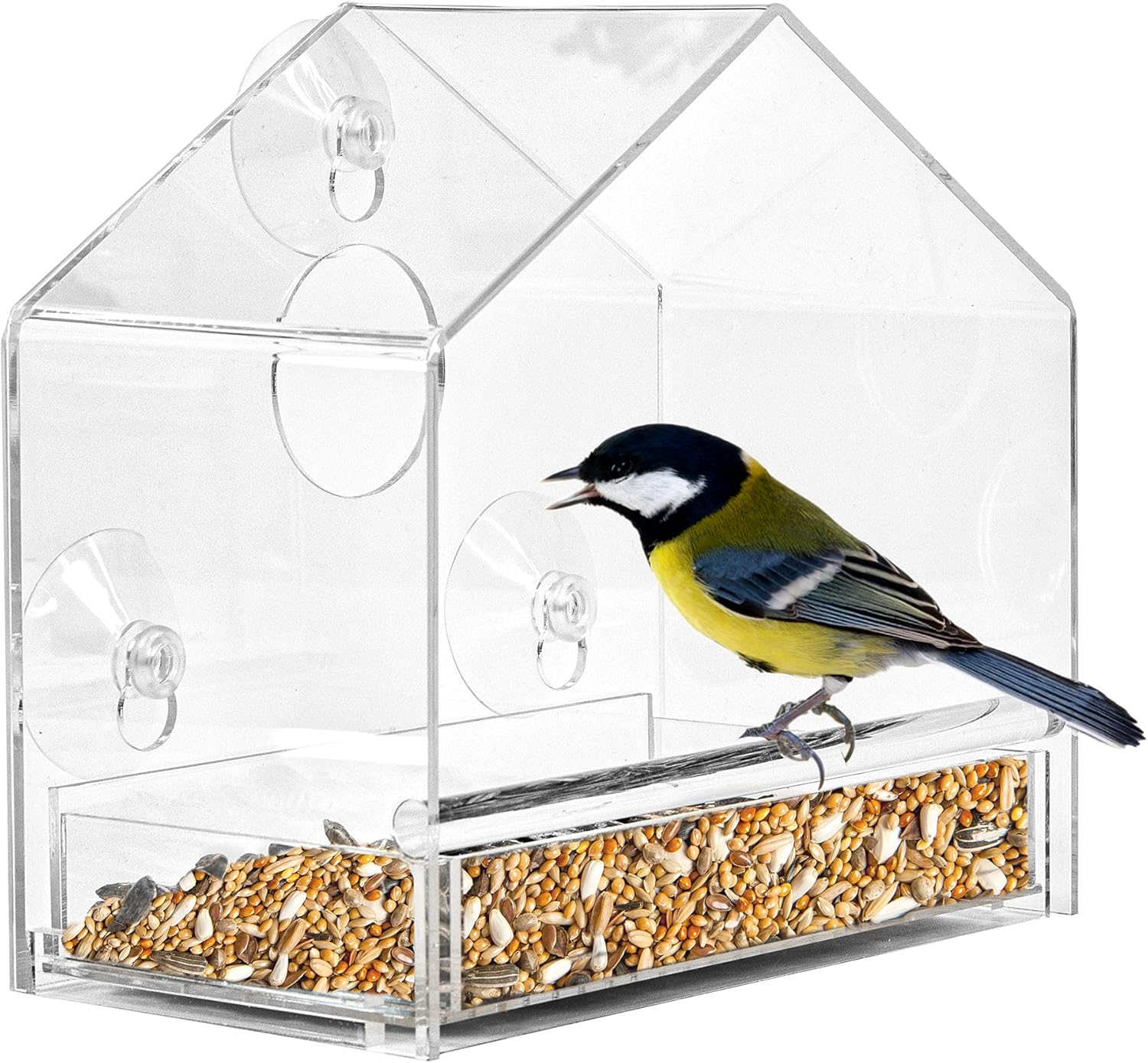 Mangeoire à Oiseaux Pour FenêTre Avec Ventouse Forte, Mangeoire Pour Fenetre Avec Ventouse Forte Mangeoire Pour Oiseaux Sauvages Suspendue Amovible Regardez Les Oiseaux Sauvages De Votre Maison