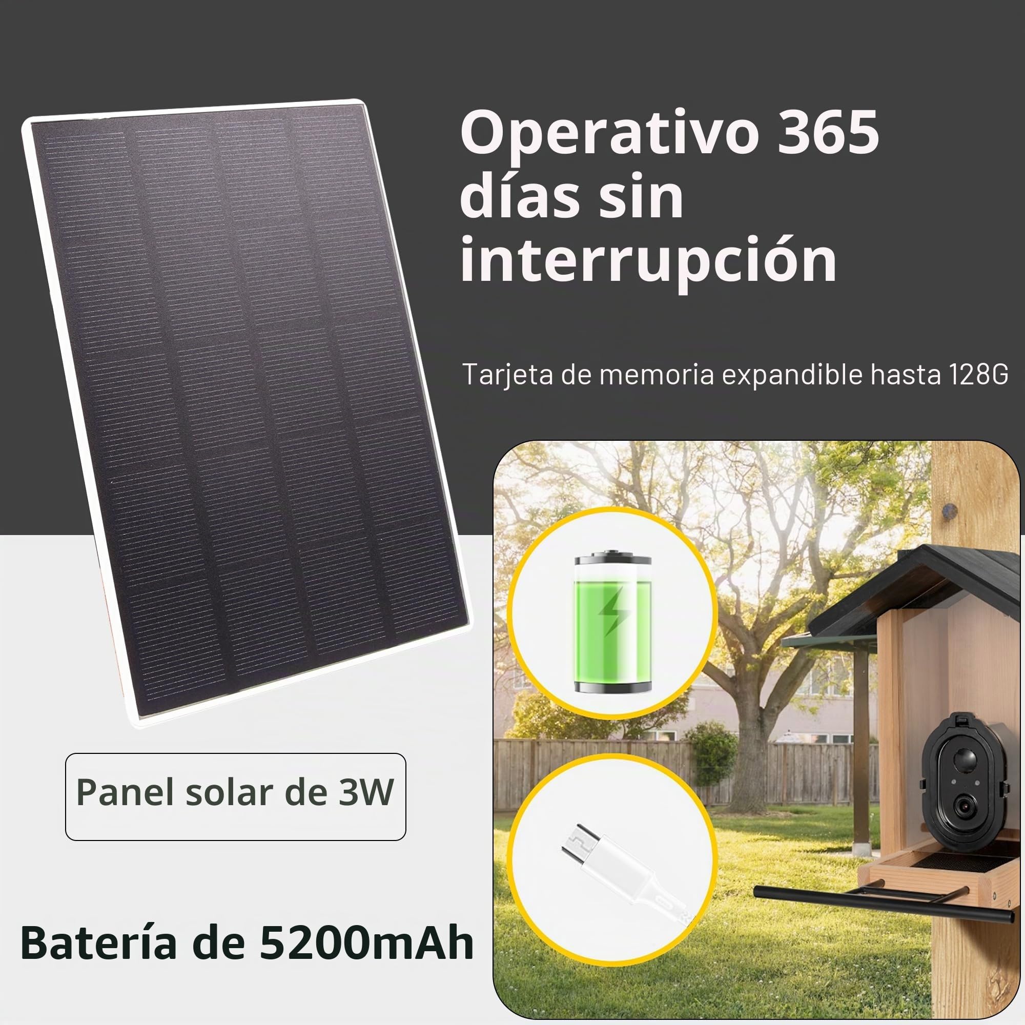 Origem Comedero para Pájaros Smart 3L con Cámara y Detección de Pájaros AI GratuitaAlimentador para Pájaros con Visión Nocturna, 30 Días de Retención de Mensajes de Vídeo
