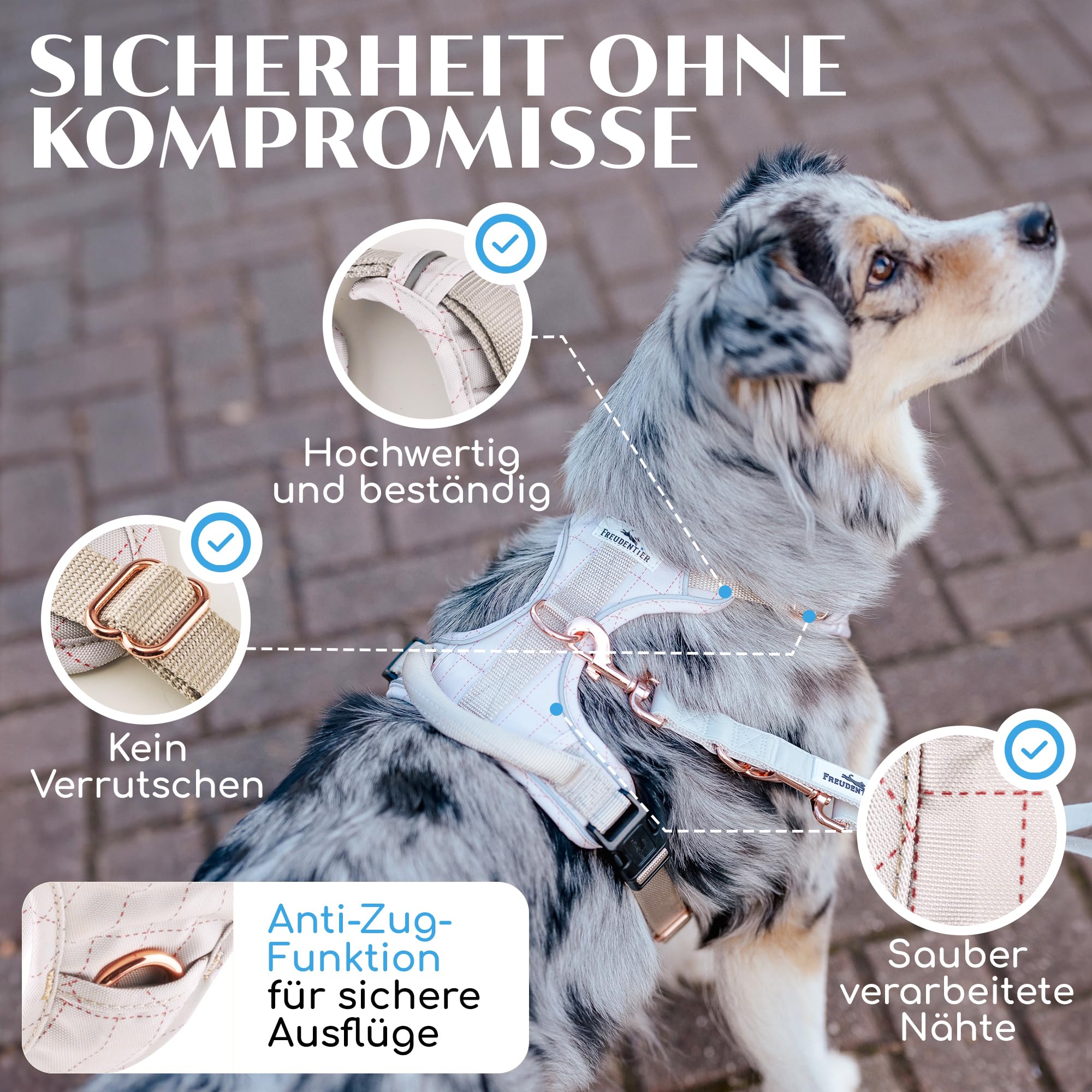 FREUDENTIER Hundegeschirr mit Griff, atmungsaktiv gepolstert - Bombenfester Sitz & maximale Sicherheit - Anti Zieh Brustgeschirr kleine, mittelgroße & Grosse Hunde