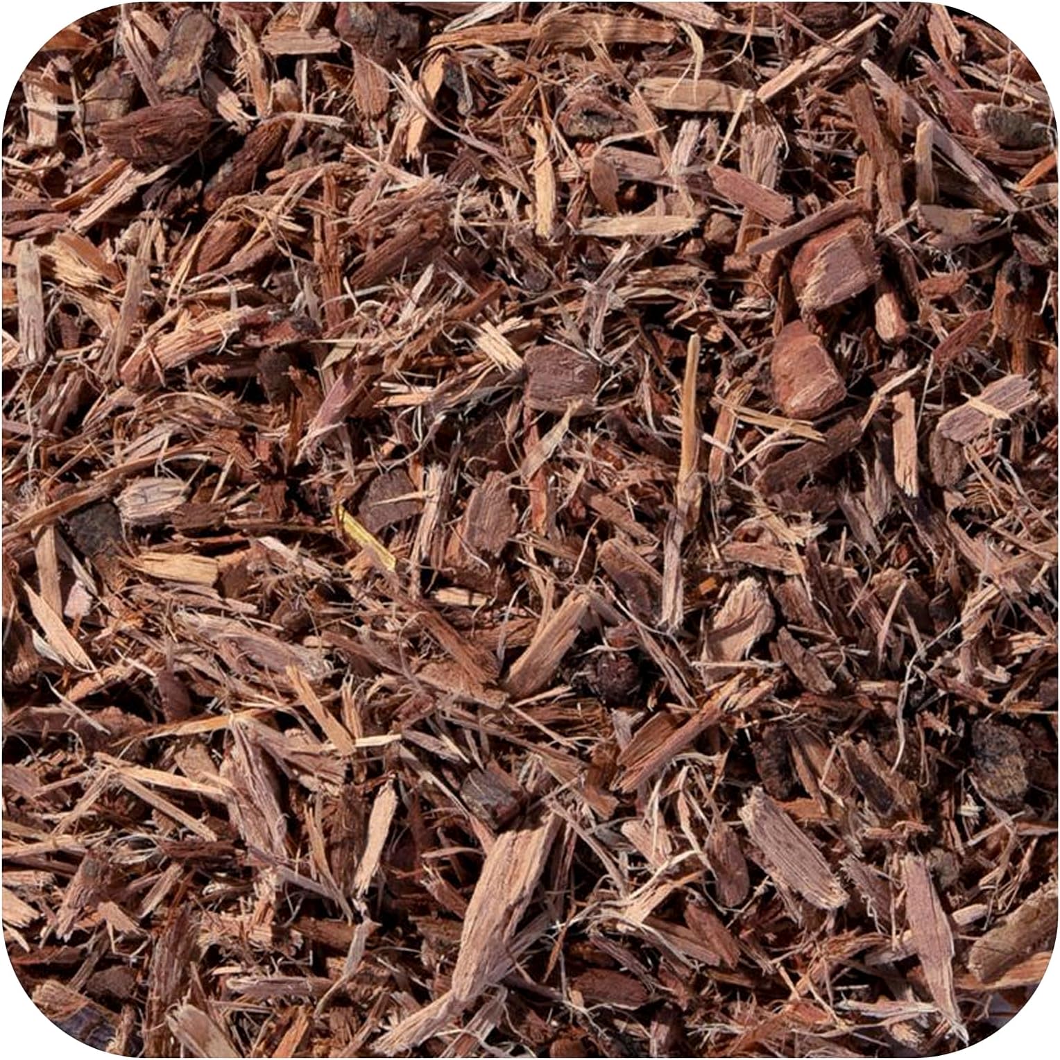 Starwest Botanicals Organic White Willow Bark, Cut & Sifted, 1 lb (453.6 g)
