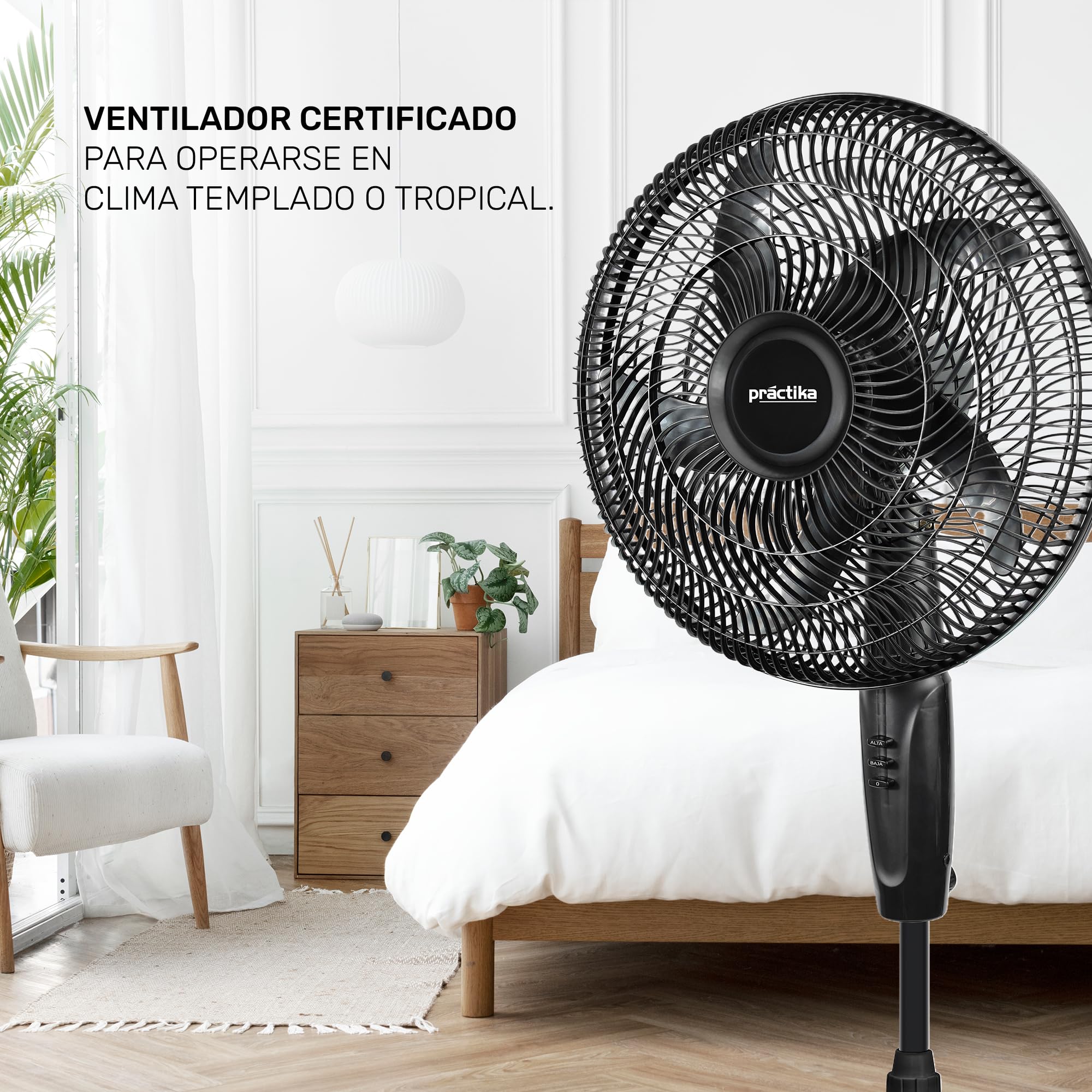 Practika Ventilatore a piedistallo da 16 pollici, 2 velocità, pratico e versatile, Crociera in metallo, altezza regolabile