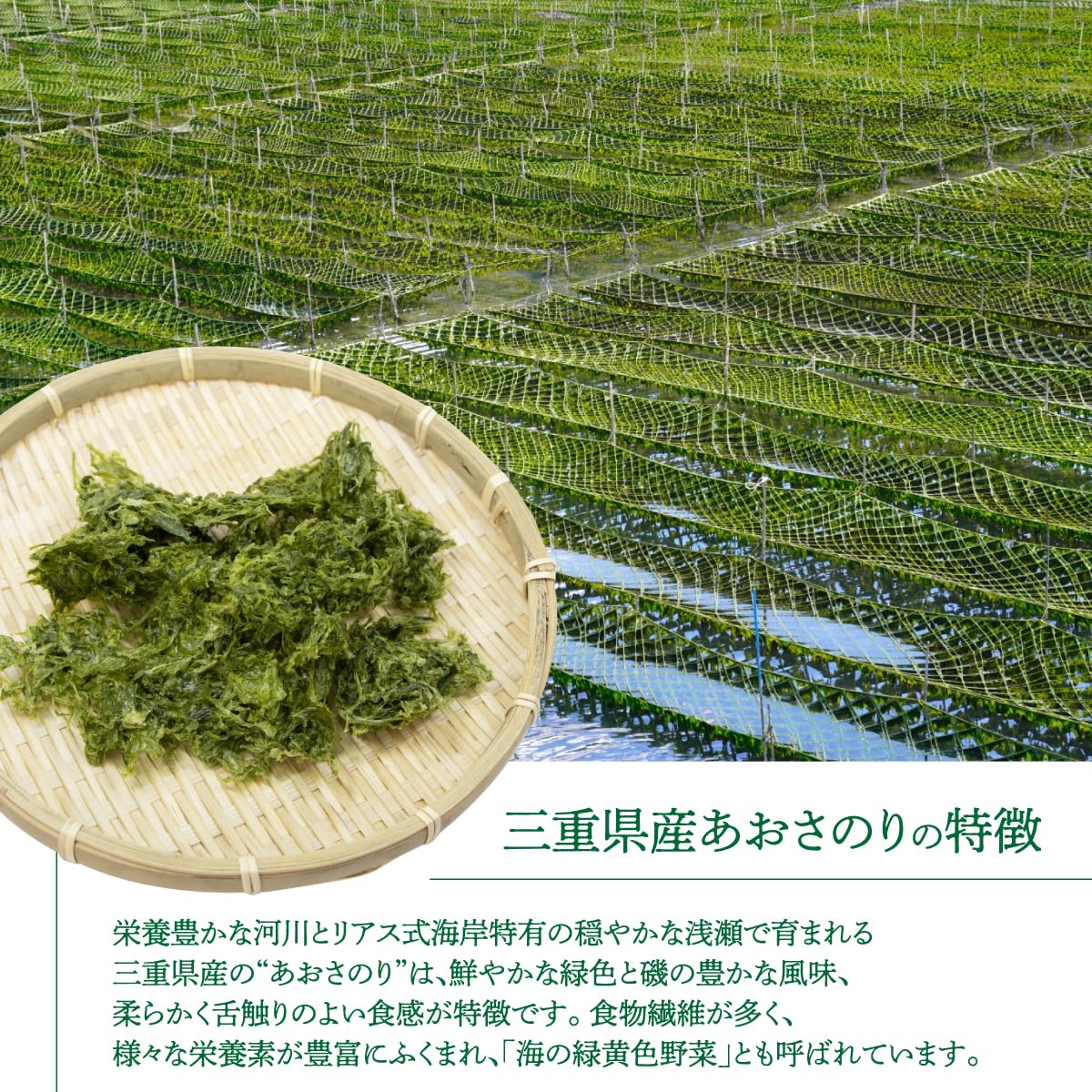Amazon.co.jp: あおさのり 三重県産 国産 100g あおさ 大容量 乾燥