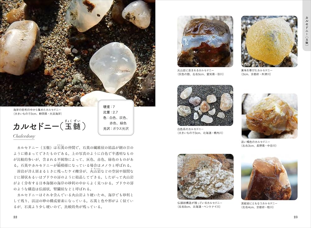 弁才天、石仏、自然石、川原の石 鵜川四十八体石仏 クチコミ・アクセス・営業時間｜高島【フォー