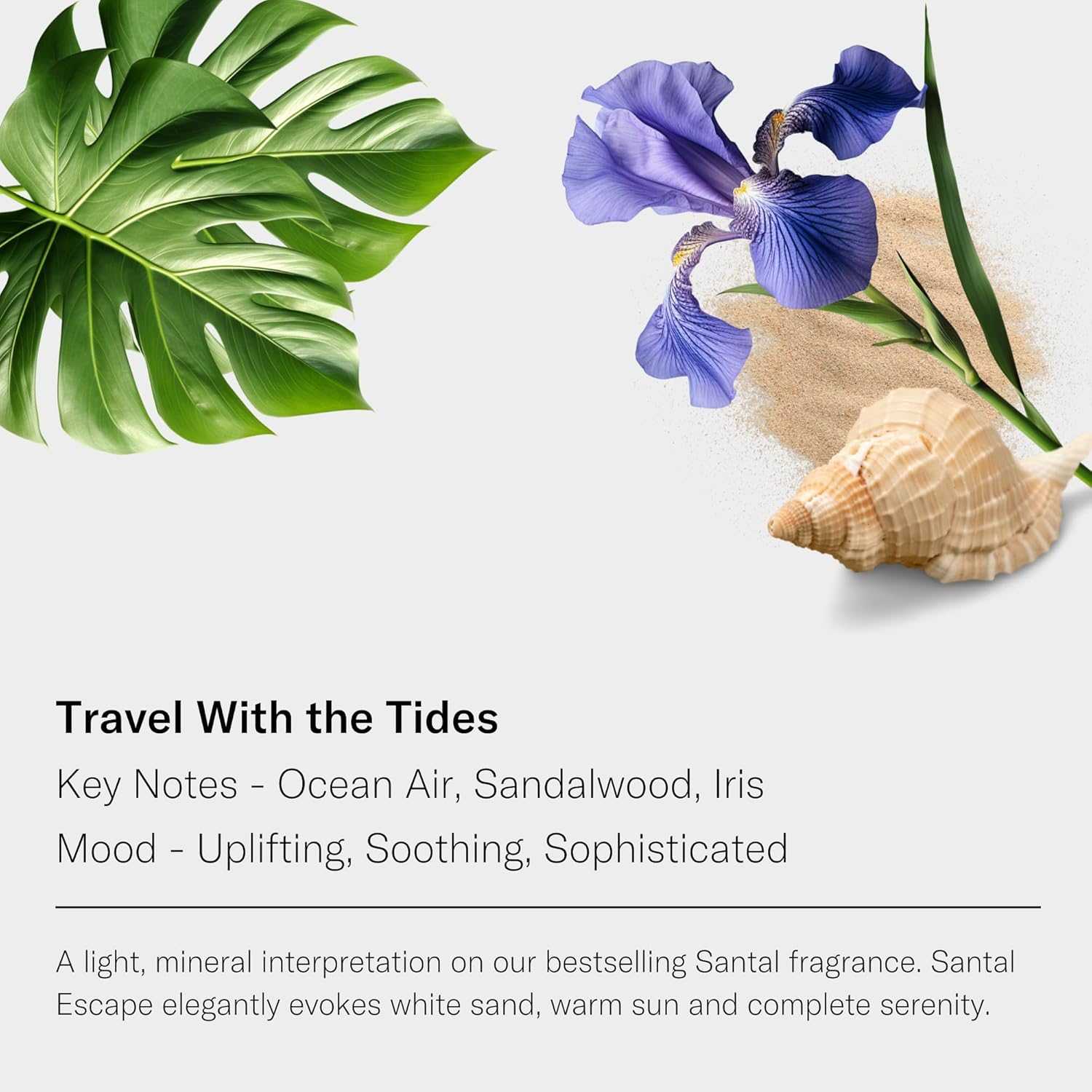 AromaTech Santal Escape Premium Aroma Oil – Uplifting & Sophisticated Home Fragrance with Notes of Sandalwood, Iris & Ocean Air for Scent Diffusers, Cold-Air and UltraSonic Scent Machines – 60 mL - Image 2