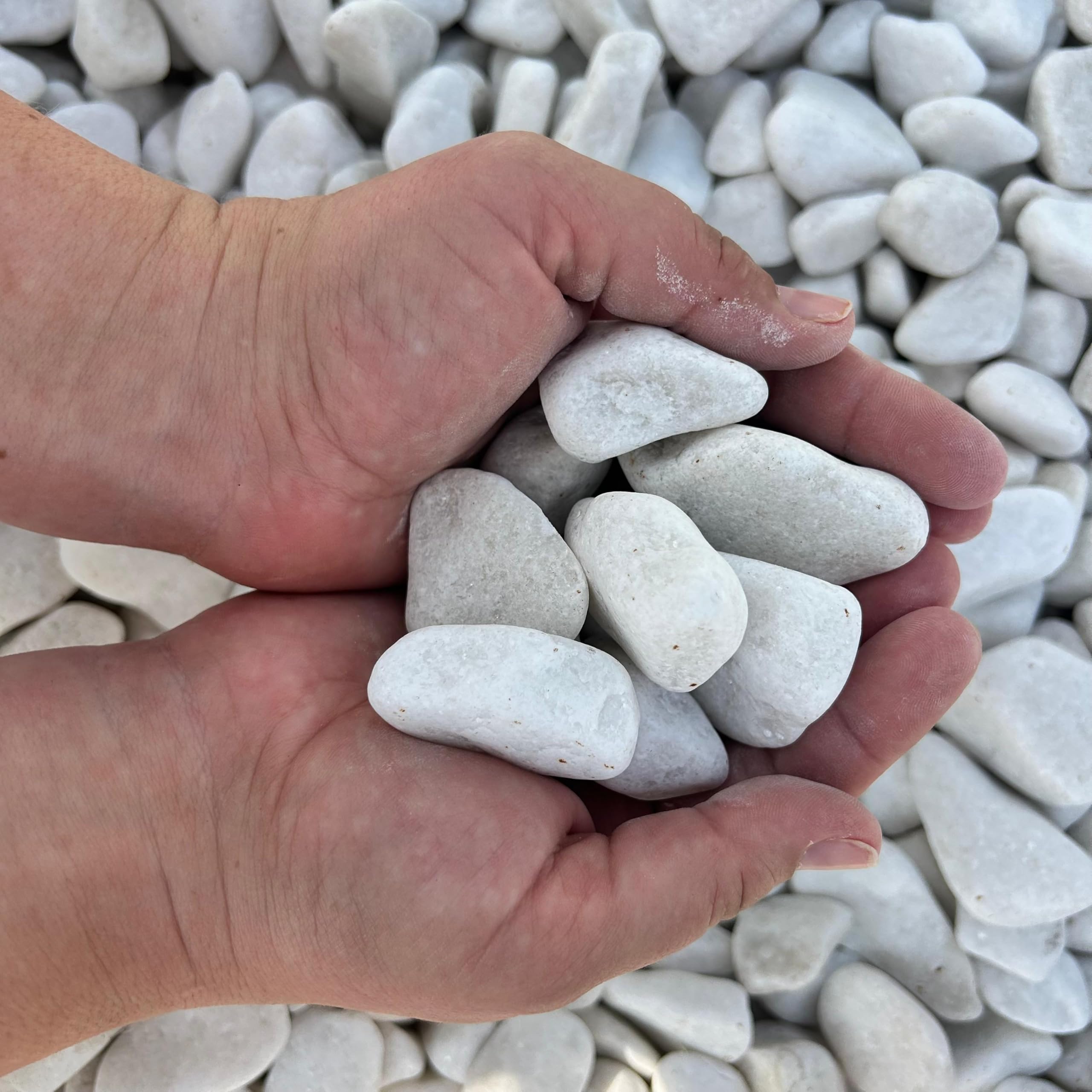 Piedra mármol Canto rodado Blanco Puro, Piedra Decorativa para Jardin, Espacios Exteriores y Intriores/Paisajismo, Jardineras y Macetas/Terrazas y Patios (24/40 mm 20 kg)