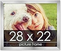 Vista 56 de Marco de 28 x 36 pulgadas de madera de peltre plateado con plexiglás acrílico UV, parte trasera de tablero de espuma y accesorios incluidos