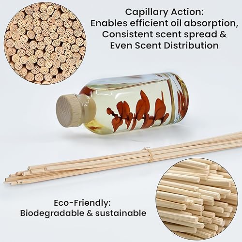 Miniatura 386 de Urban Naturals Reed Diffuser Oil Refill Ocean Mist Sea Salt with Salt Spray, Violet Leaf, Sea Grass, Driftwood 8 oz + Free Reed Sticks, Made in The