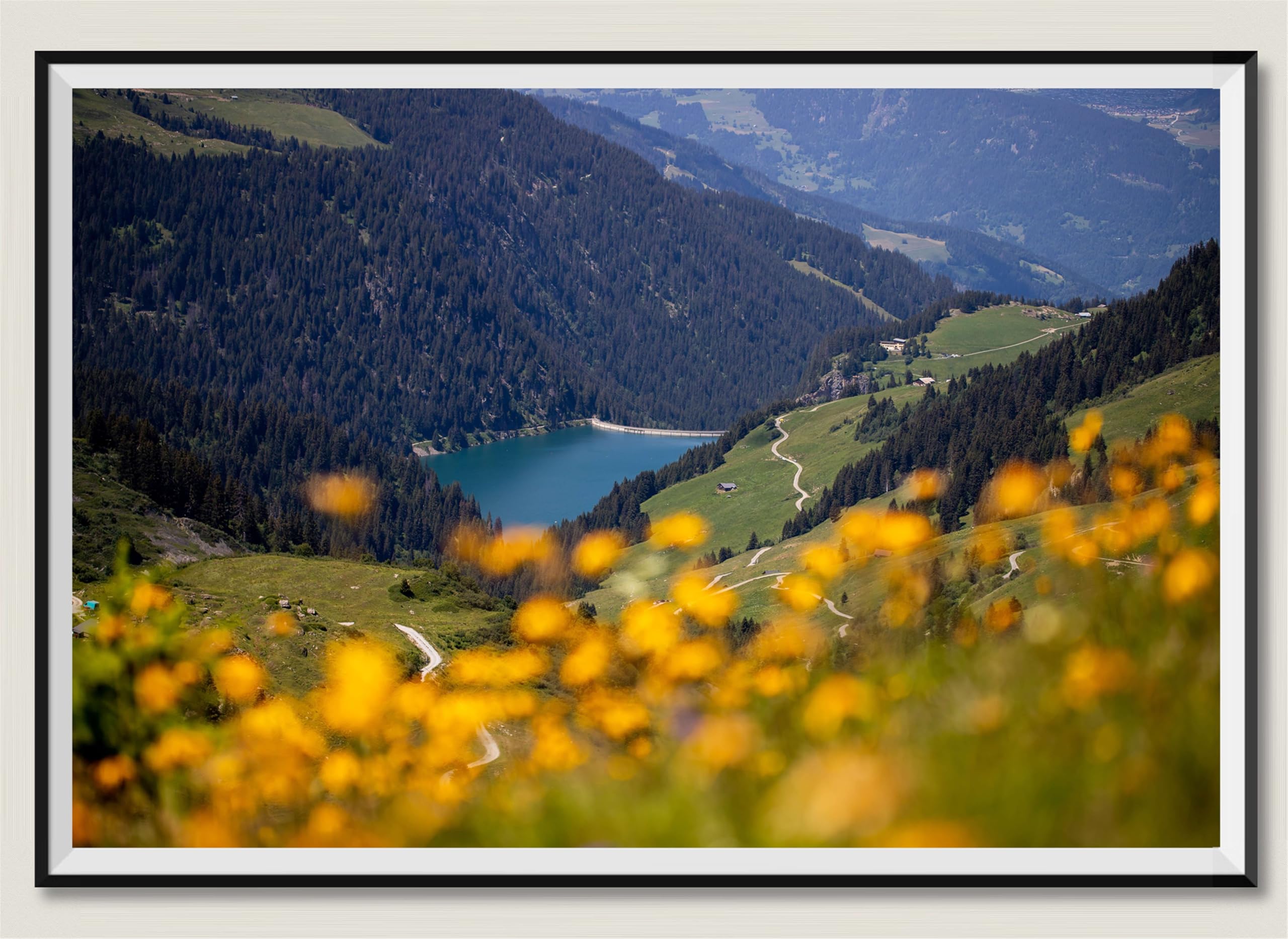 Alpine Valley - Puzzle in legno da 2000 pezzi, regalo per amicizia, intrattenimento, tempo libero, decorazione per feste, 14 anni+