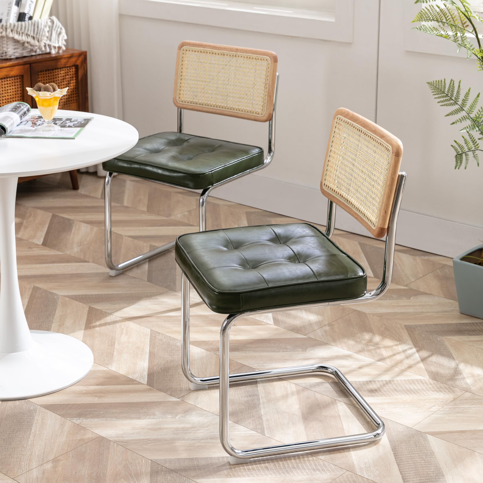 Zesthouse Rattan Dining Chairs Set of 2, Cantilever Kitchen Chairs, Green