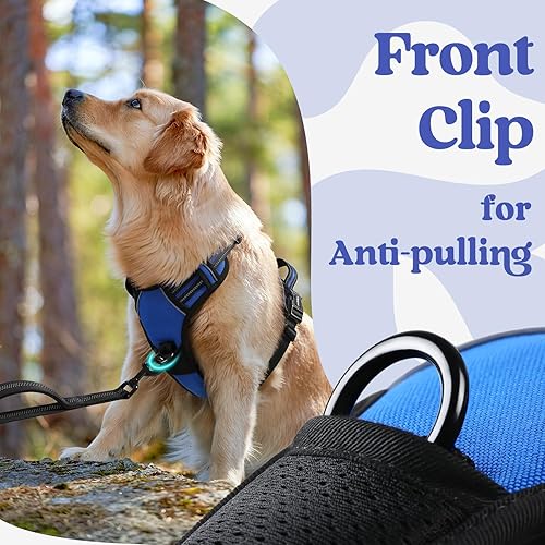 Miniatura 7 de rabbitgoo Arnés para perro de tamaño mediano, arnés sin tirones para mascotas con 3 hebillas, chaleco ajustable suave acolchado para perro con asa