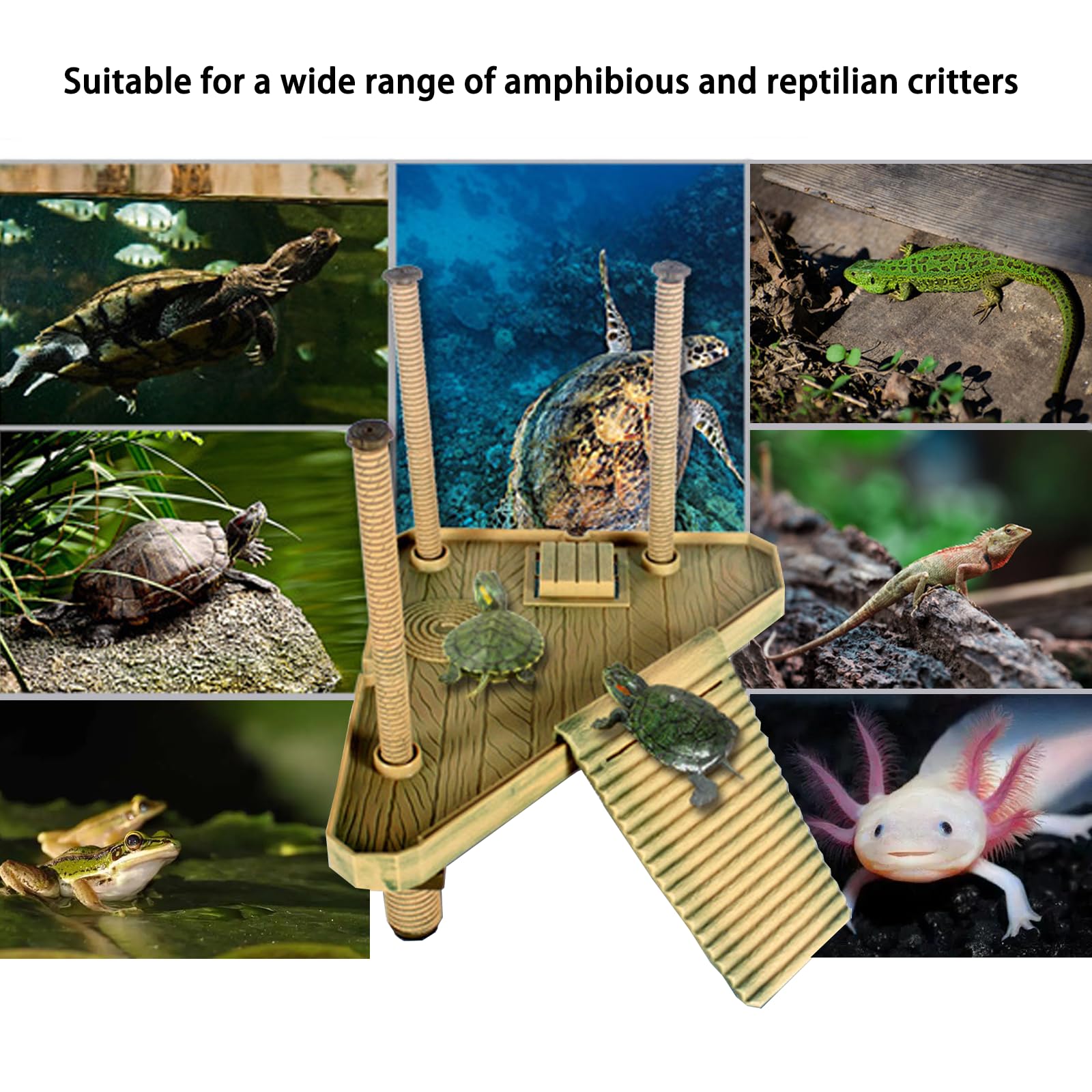 Piattaforma Galleggiante per Tartarughe, Piattaforma Galleggiante per Crogiolarsi, Piattaforma per Crogiolarsi per Tartarughe con Scala, Habitat per Tartarughe, Accessori per Acquari (Media)