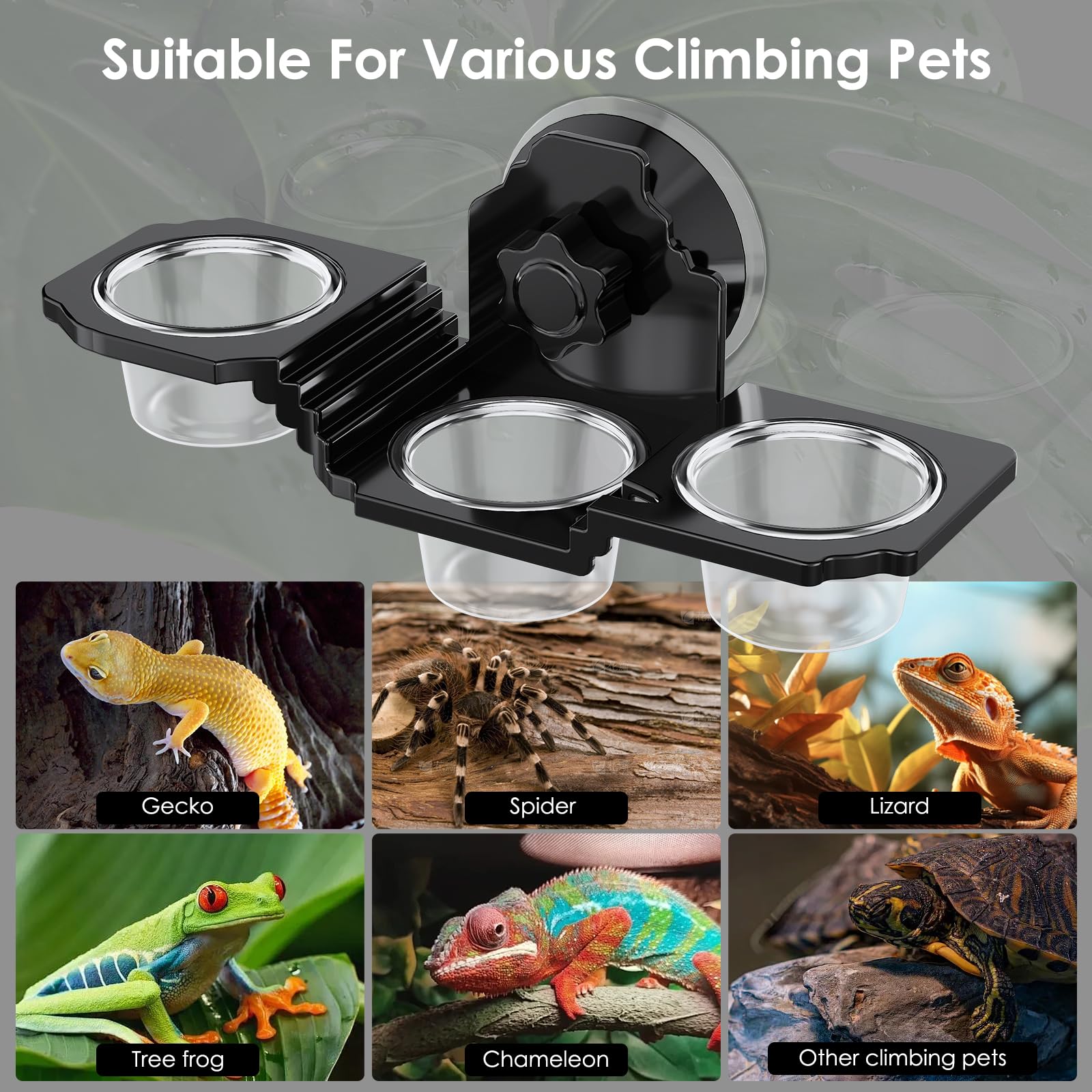 Crested Gecko-Futterstation, Reptilien-Futterstation mit 6 Bechern, Reptilien-Wassernapf für Bartagamen, Eidechsenschlange, für Reptilien, Futter und Wasserfütterung, Schwarz