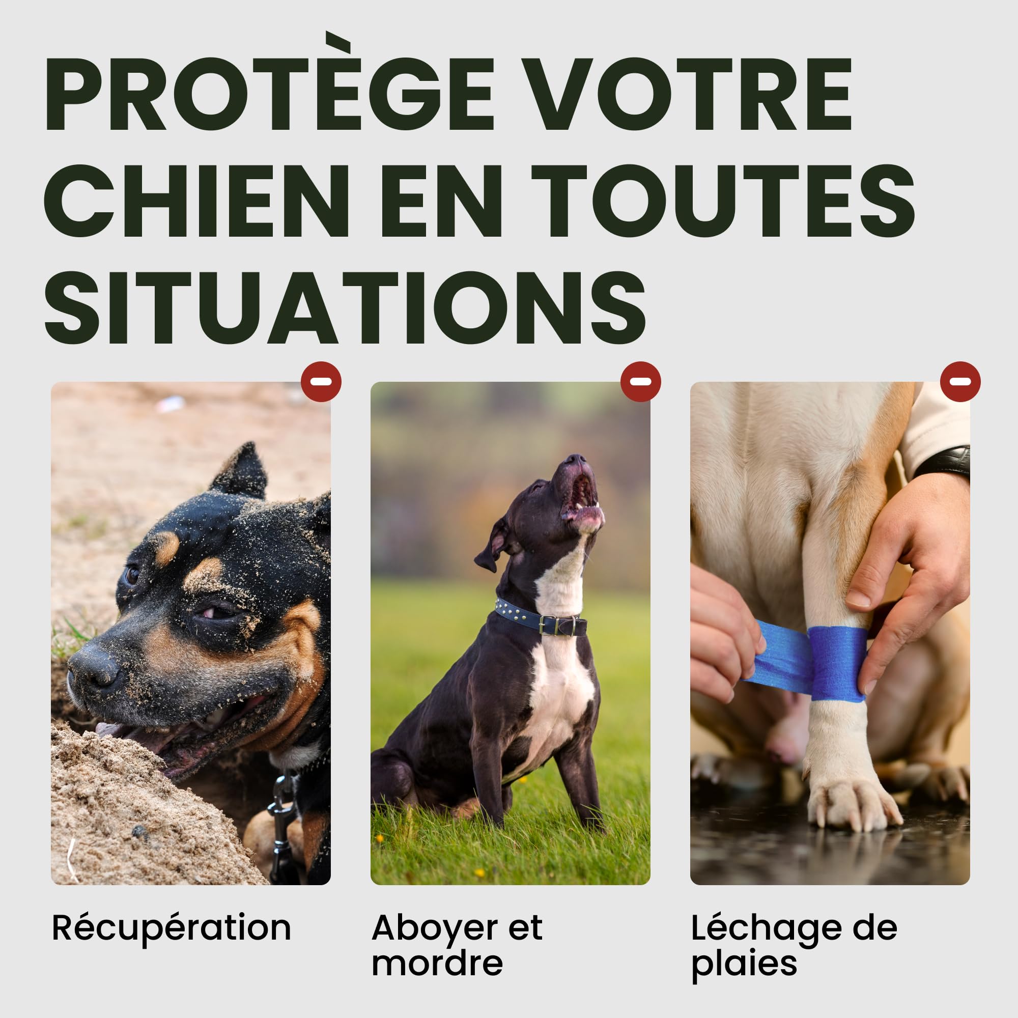 BRONZEDOG Muselière pour Chien en Fil de Fer - Berger Allemand pour Chiens de Taille Moyenne et Grande - Panier en métal Durable pour Mordre, mâcher et aboyer (L)