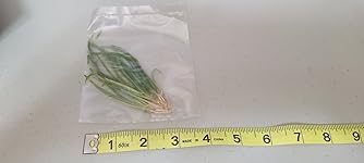 Review Image by Natalie Natalie