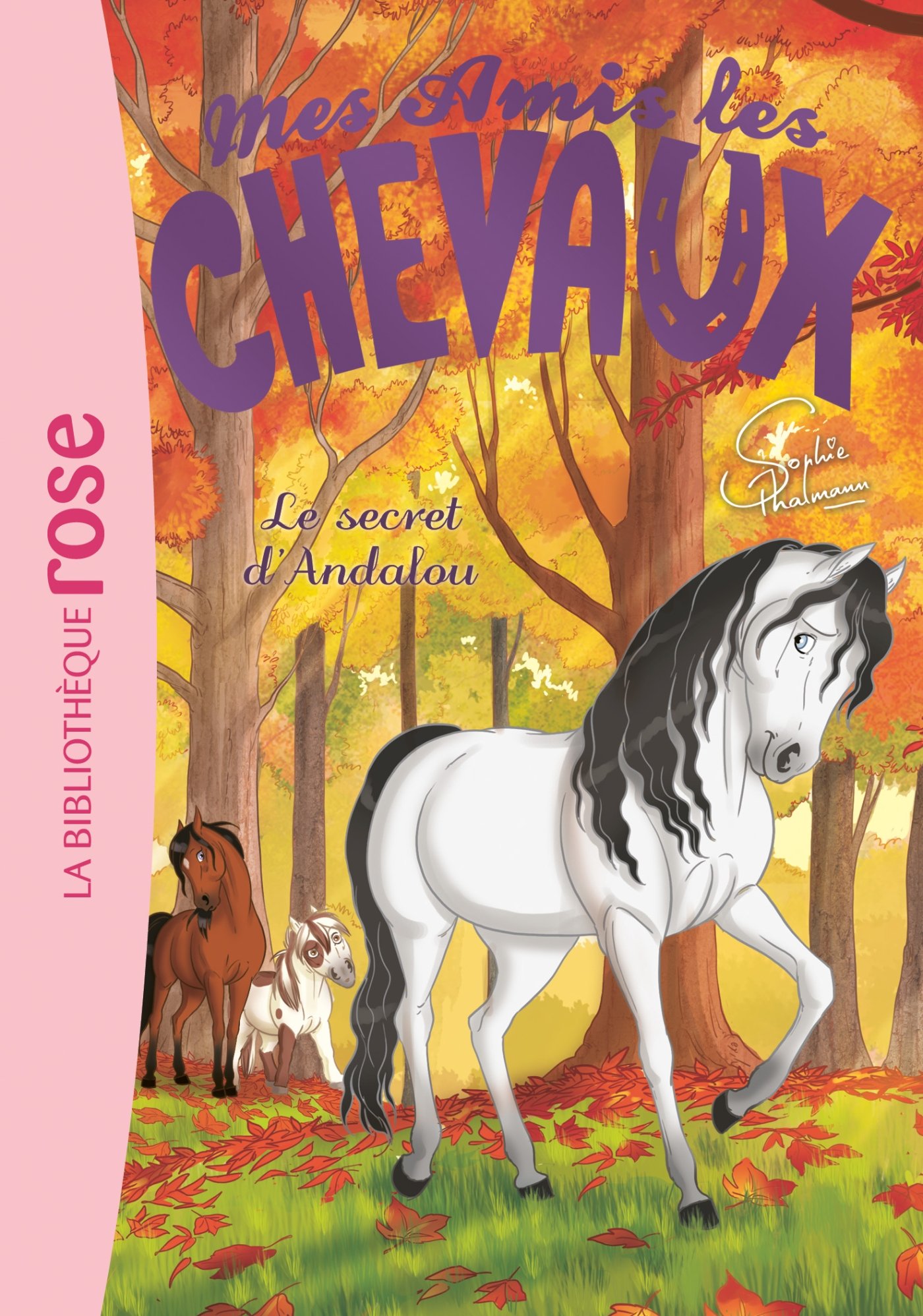 Mes amis les chevaux 19 - Le secret d'Andalou (Mes amis les chevaux - Sophie Thalmann (19))